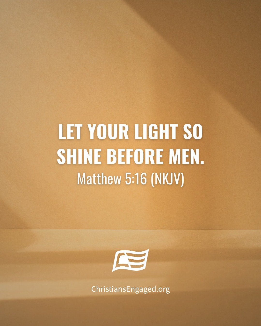 ✨ Shine where God has placed you.

Matthew 5:16

#PrayVoteEngage #Matthew516 #FaithInAction #ChristiansEngaged