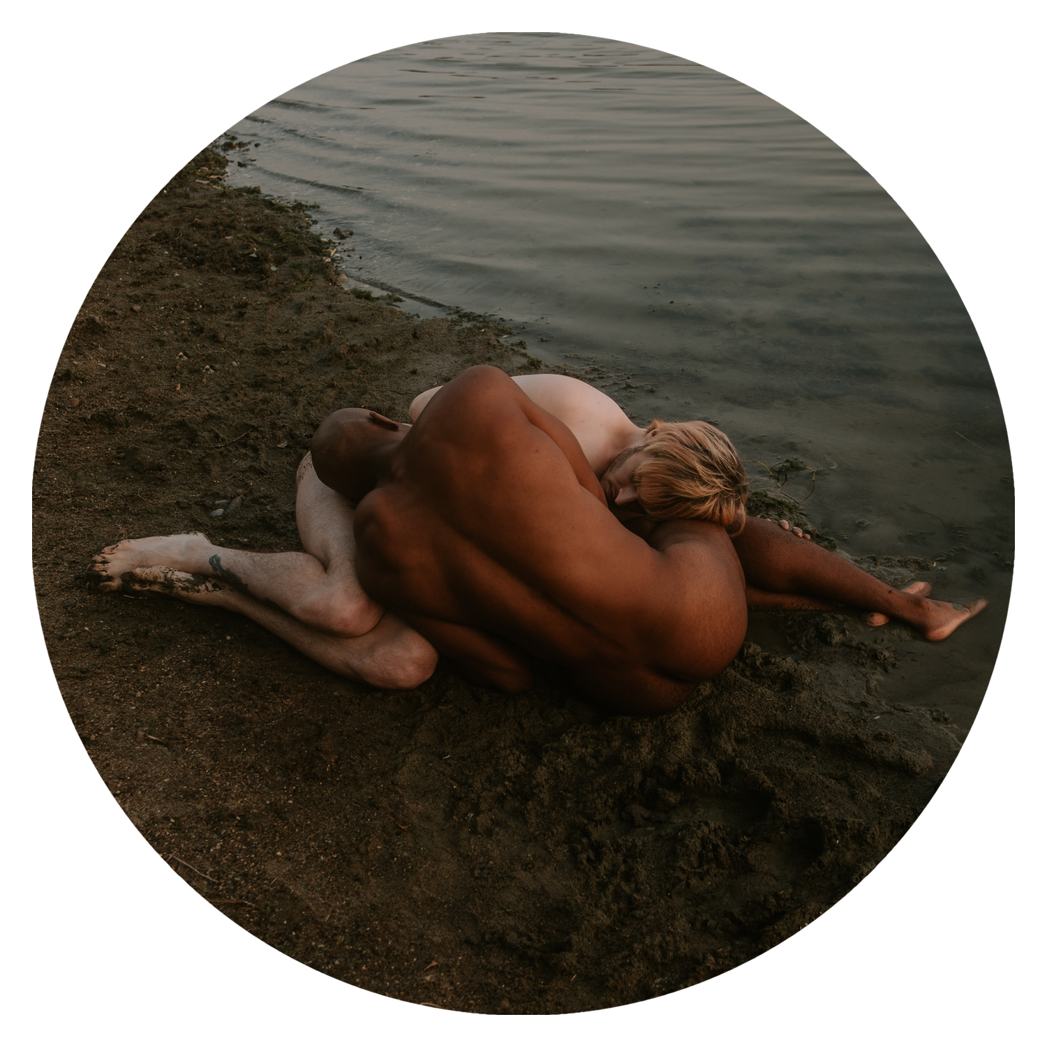 003.png