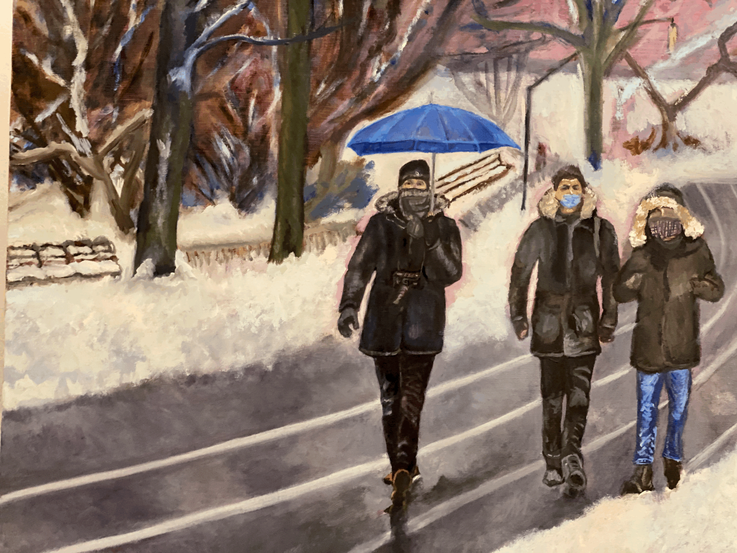 Central Park 2021 Snowfall