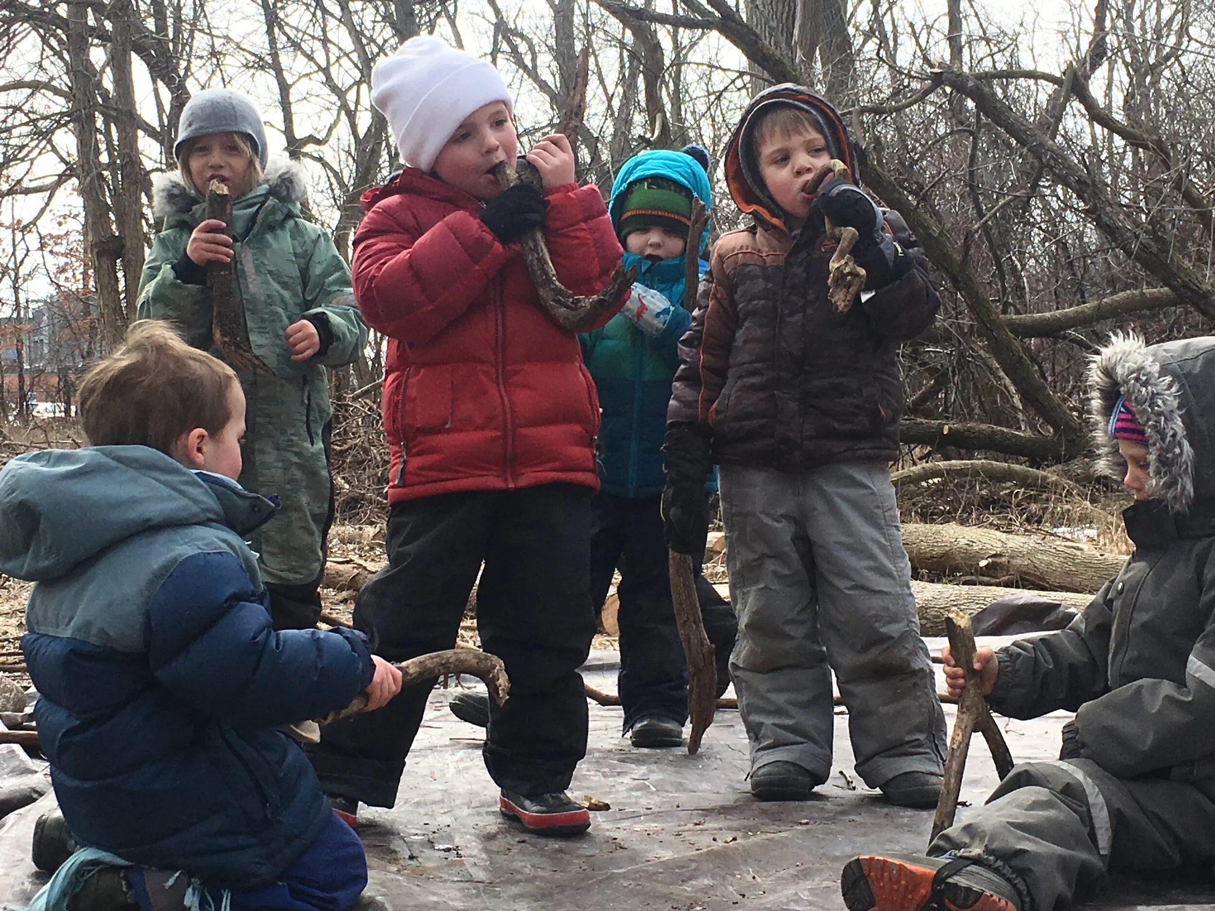 The Fire Flames 1.JPG