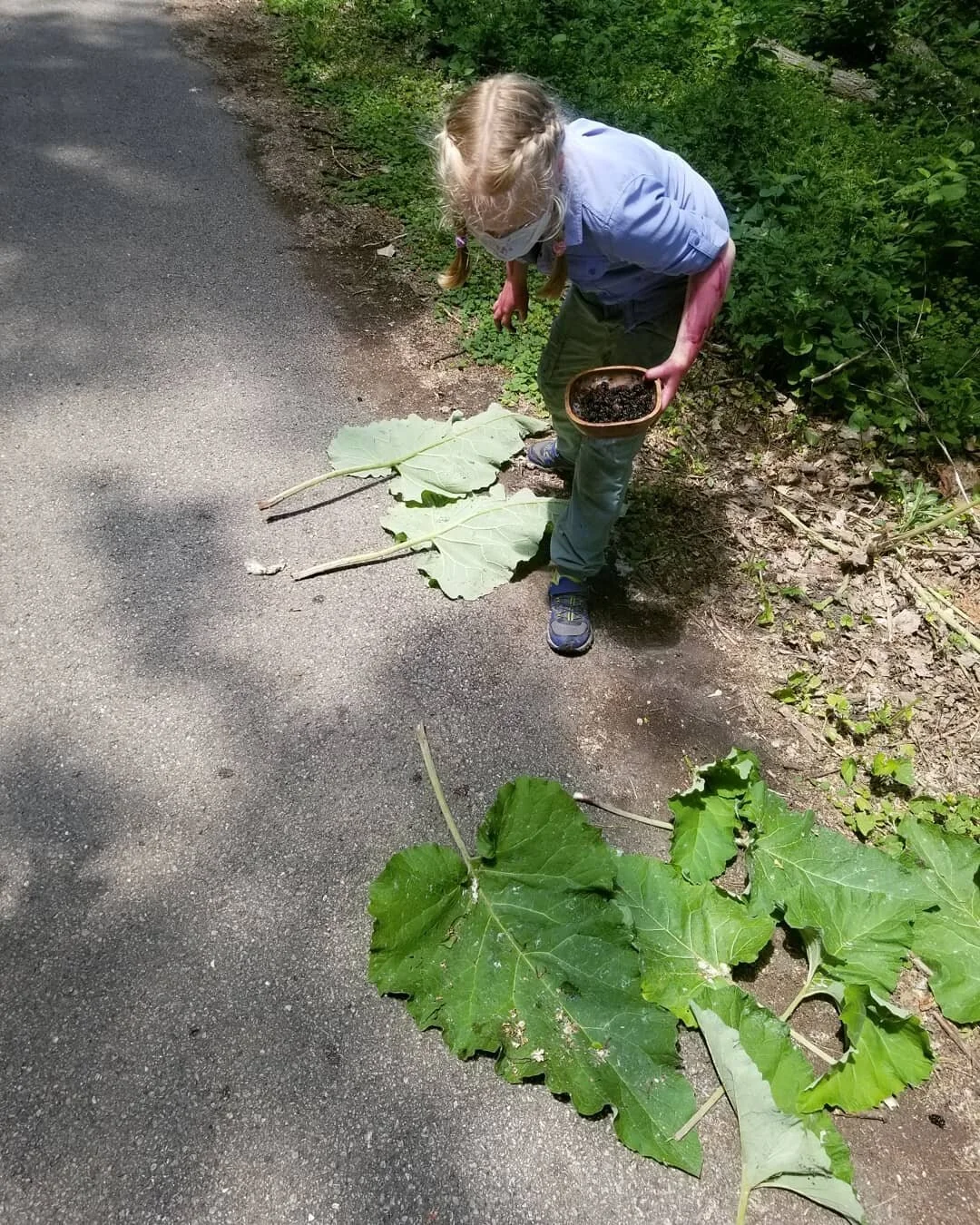 Making a natural taproot of burdock leaves to collect mulberries.

#Mulberries #ForestSchooling #Unschooling #NatureBasedEducation #NatureBased #NatureBasedEducation #OutdoorEducation #OutdoorSchool #LearningByDoing #FSIL #ForestSchoolsForIllinois #C