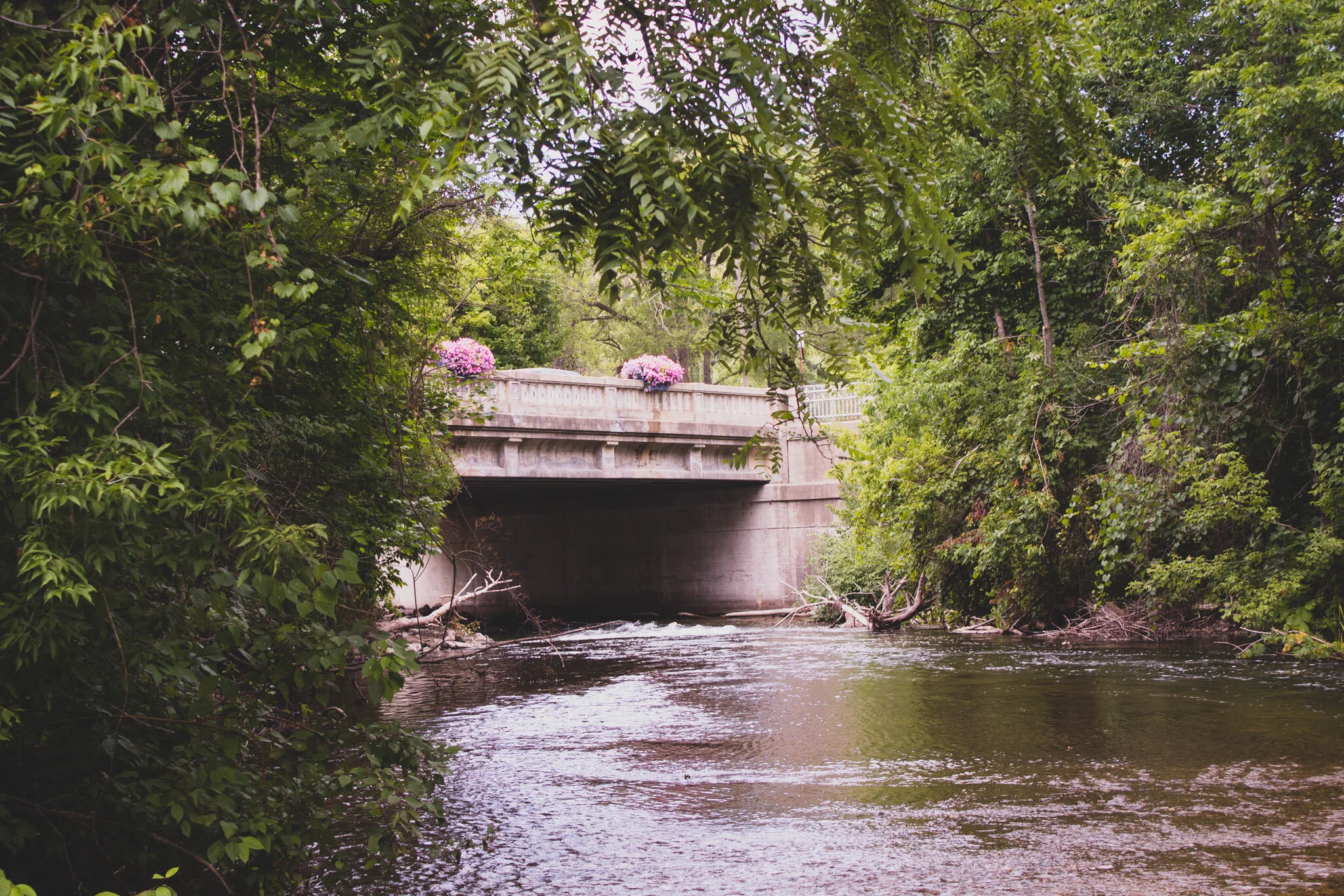 Bellaire, MI August 2019