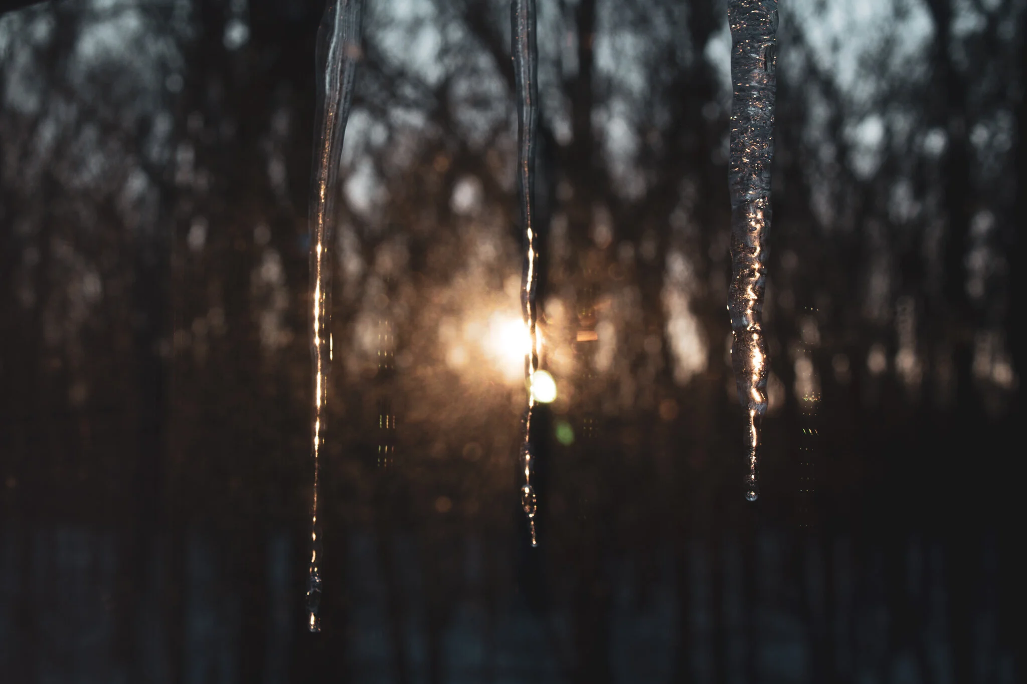 Icicles // Howell, MI 2020
