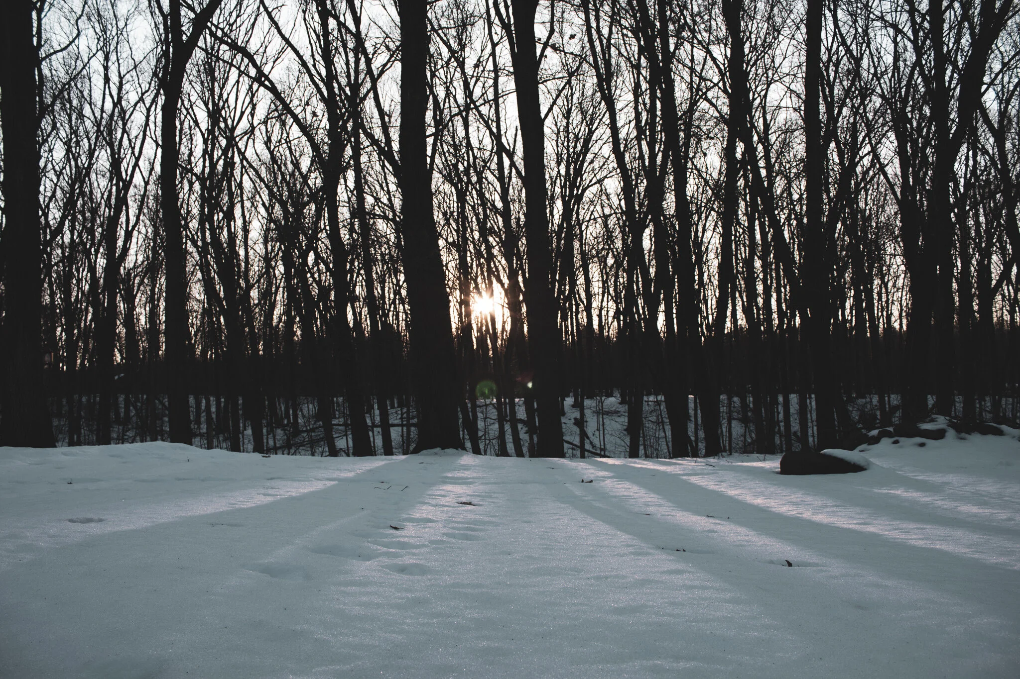 Shadows // Howell, MI 2020