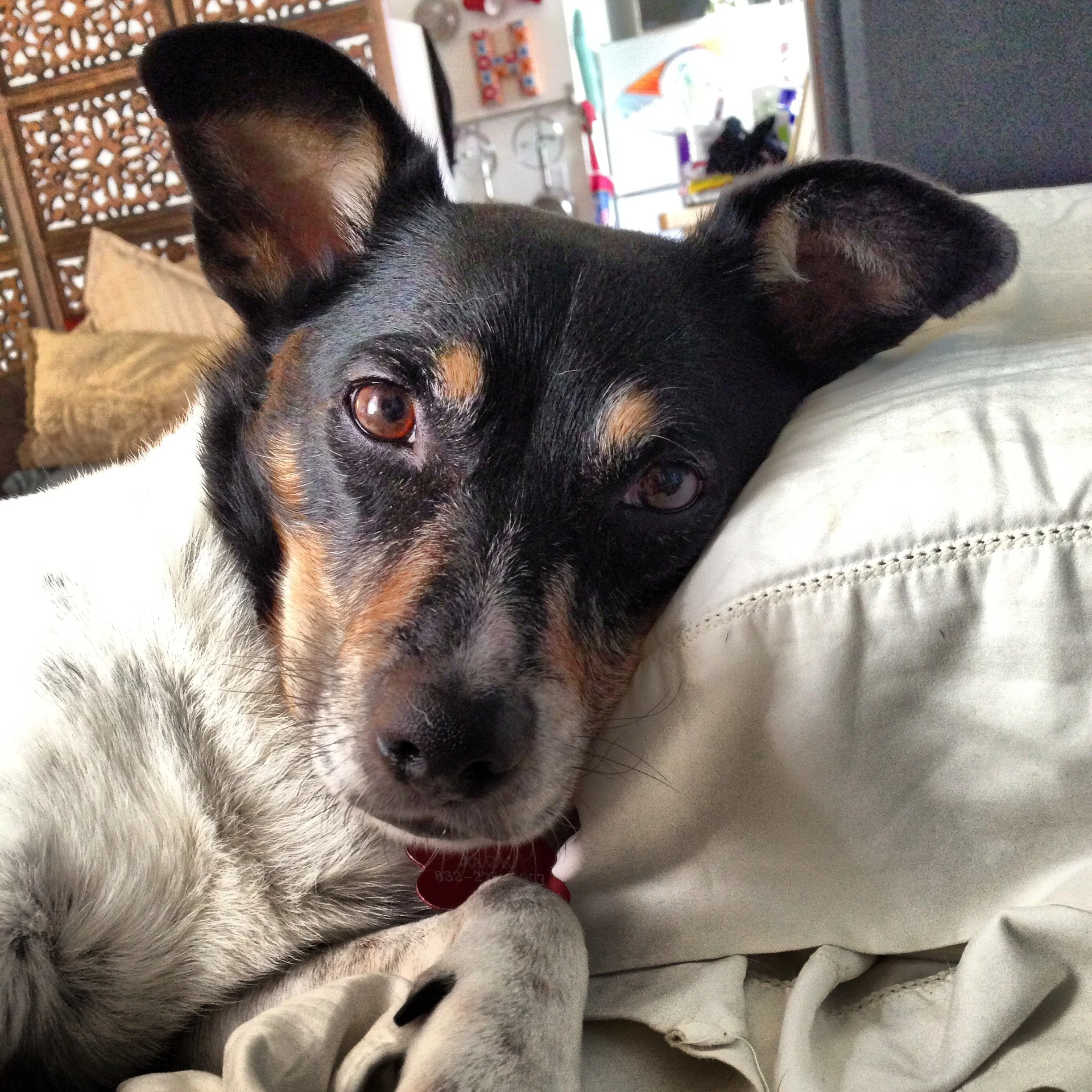 Back before I knew Jack