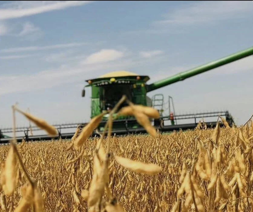 IMG_7127 (Edited).PNG