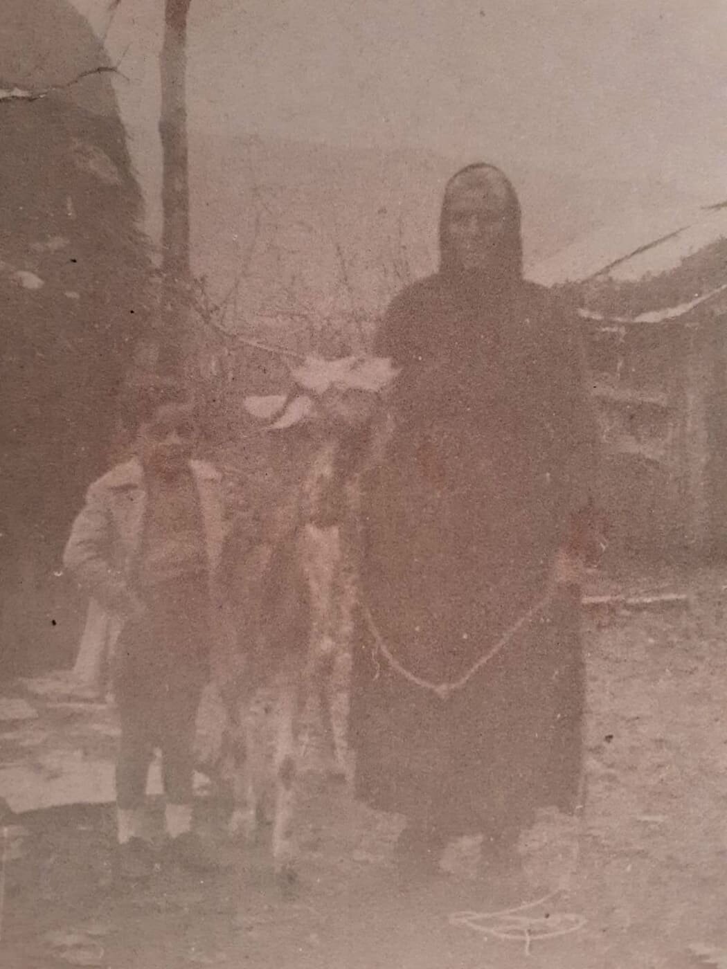   There is the goat which suckled my grandfather because his mother died during giving the birth  