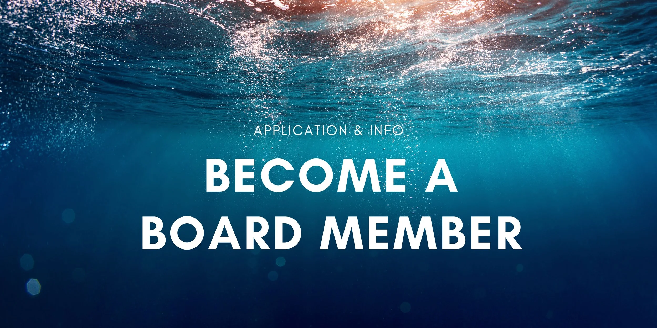 surveys for gift cards -4.jpg