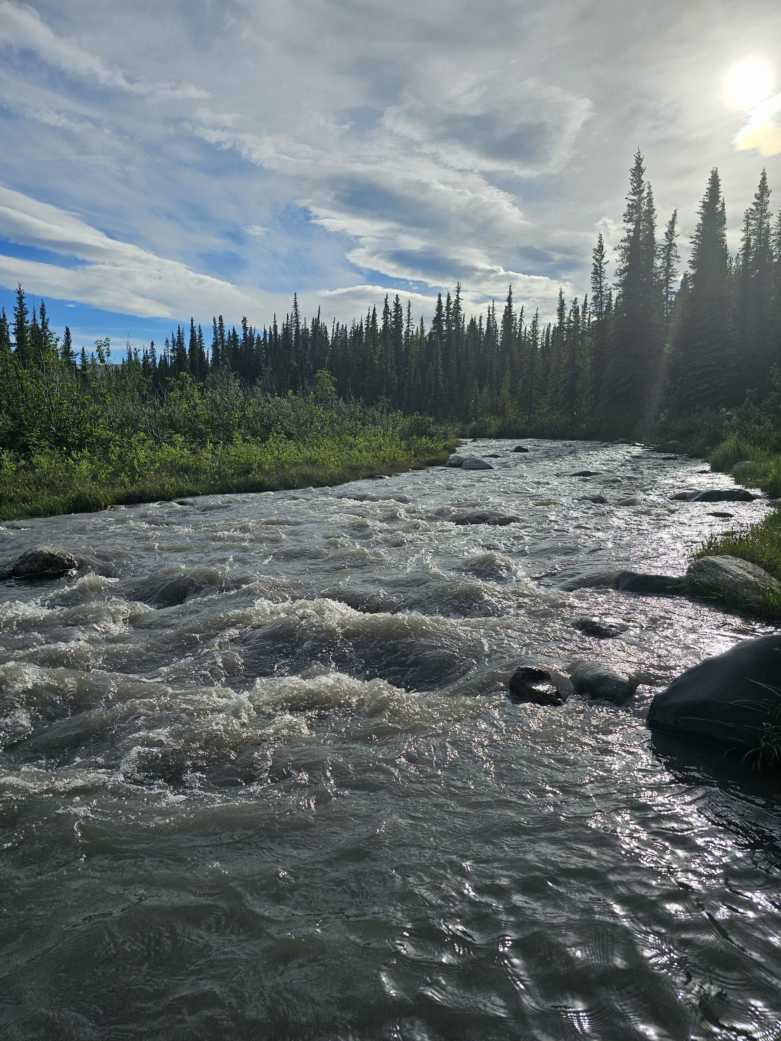 20230623_194100.jpg
