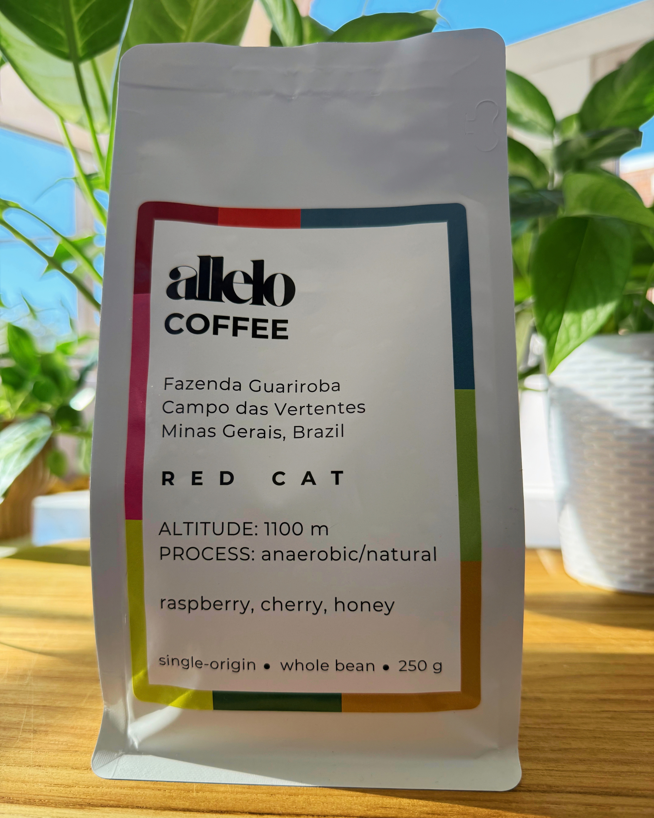 Allelo Red Cat