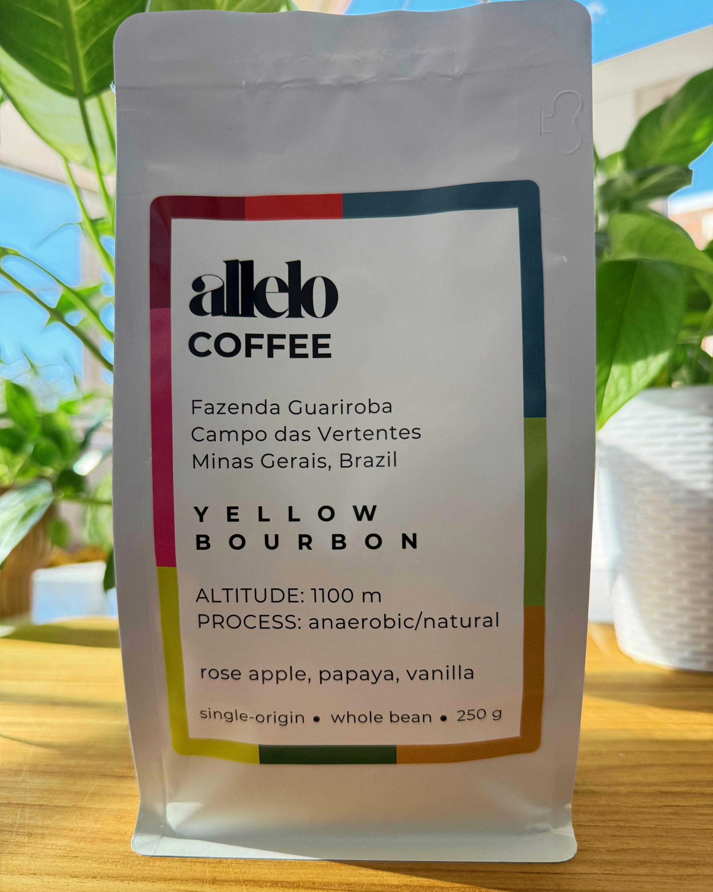 Allelo Yellow Bourbon