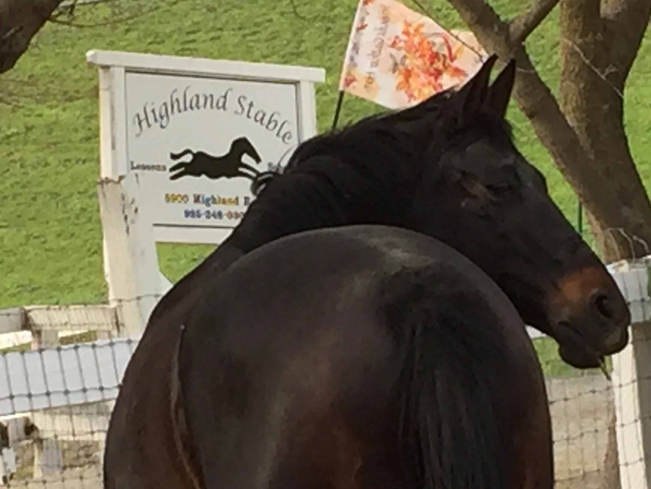 2014 to 2015.2.20 All iphone 992.JPG