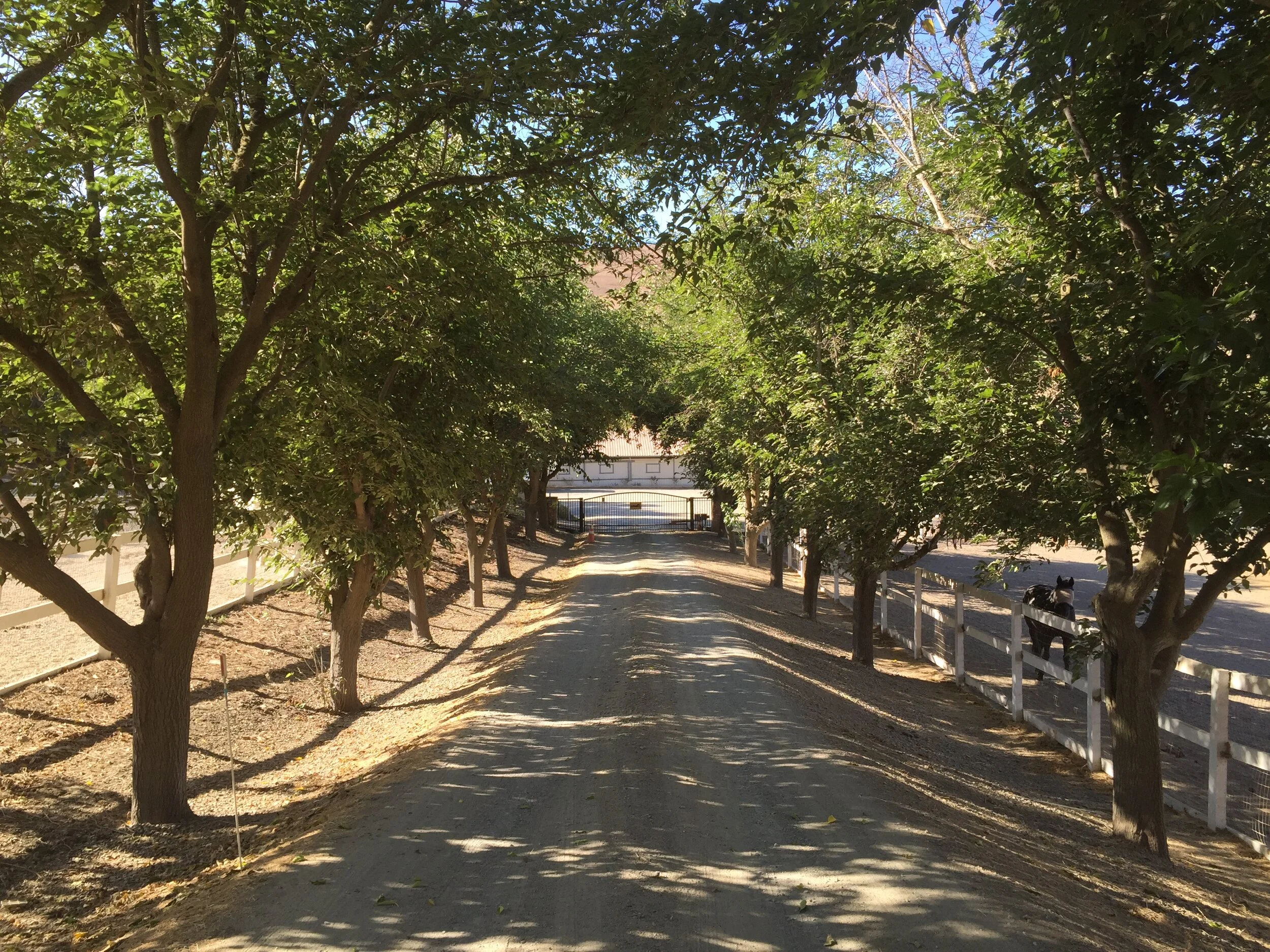 2015.9.23 All photos on iphone 3874.JPG