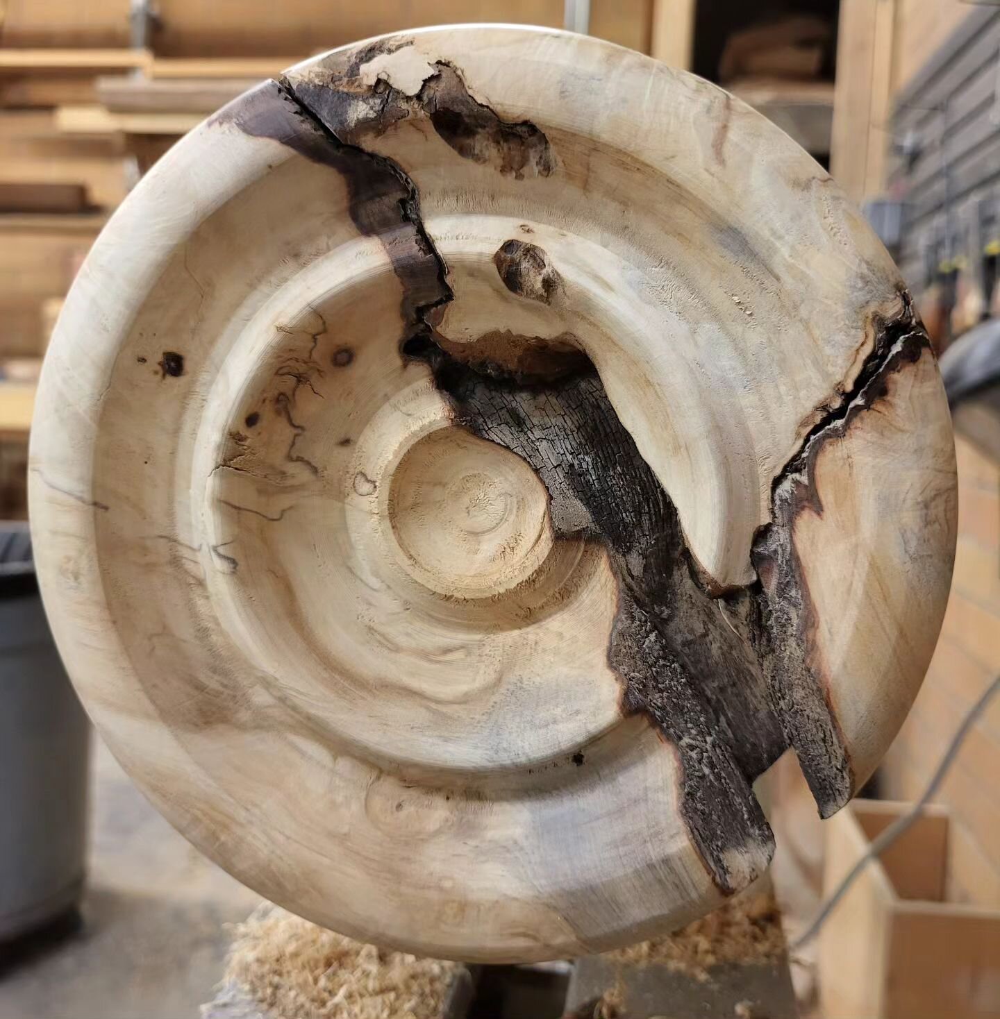 Fissures.

Absolutely loving how this bark inclusion diversifies the fa&ccedil;ade of this piece. 

.
.
.

#savannahstantonllc #spalting #fracture #fissures #shopdays #woodturner #woodturning #newpiece #ogee #horsechestnut