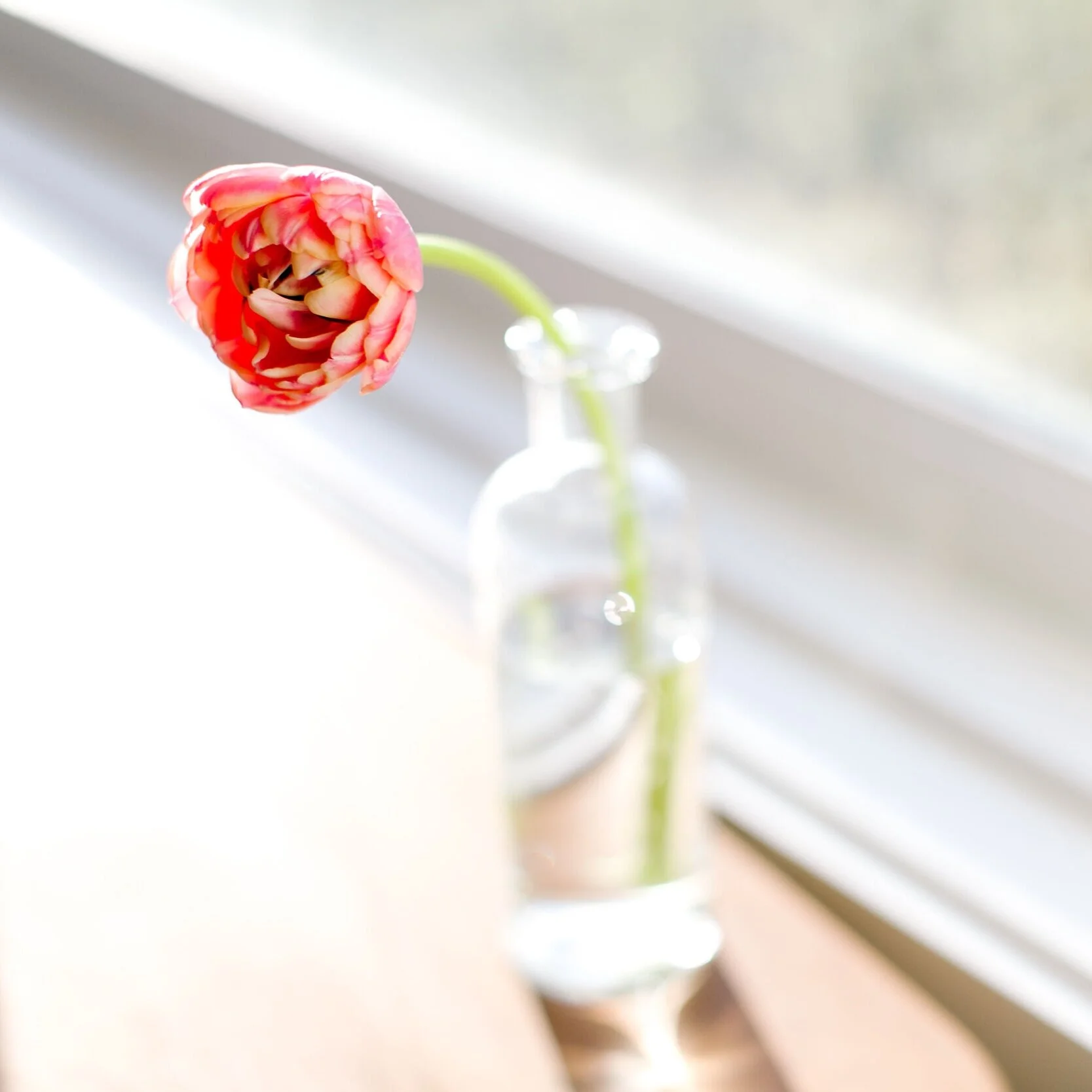 Girls Night #79: How to Trust God When What You’re Hoping For Just Isn’t Happening