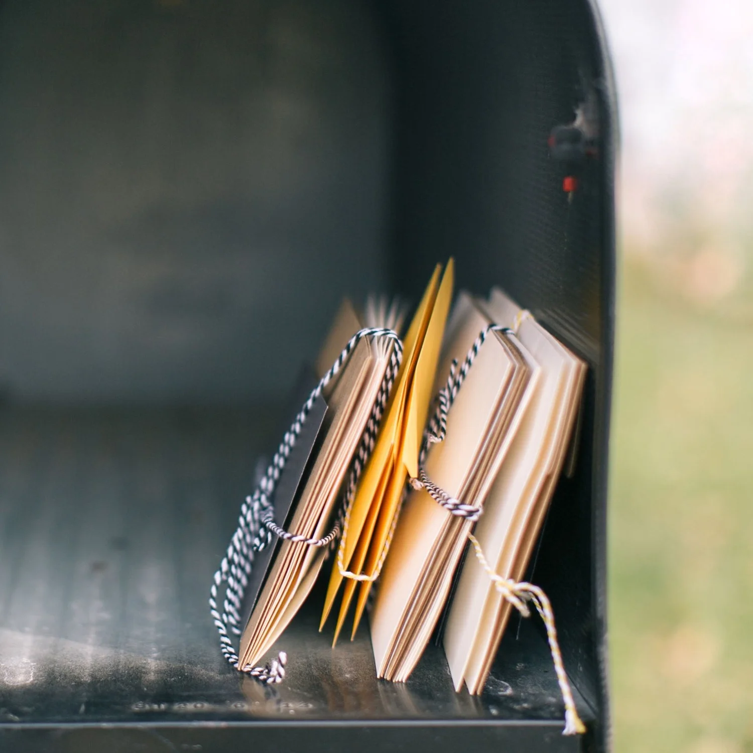 Girls Night with Stephanie May Wilson