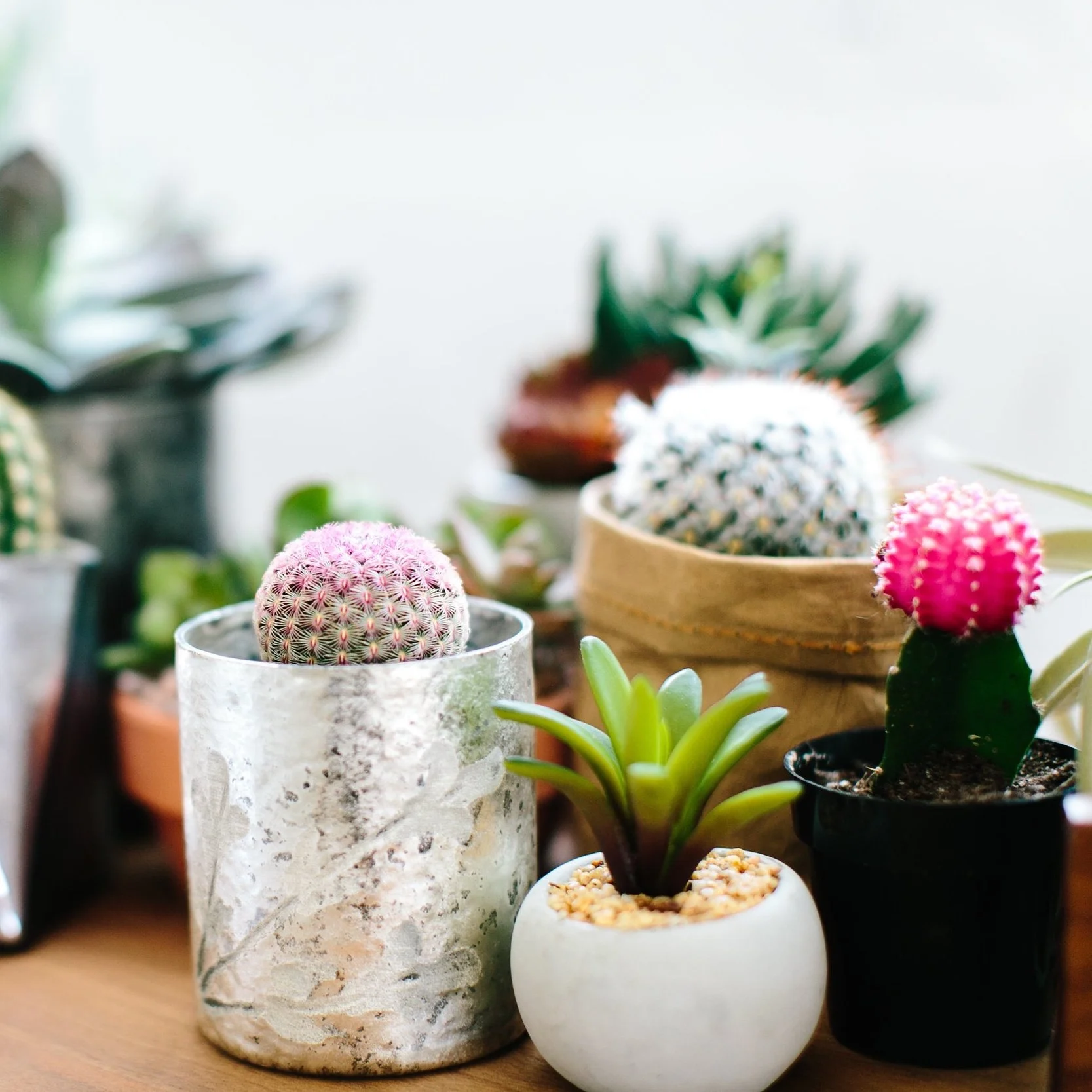 Girls Night #5: How to Keep Comparison from Stealing Your Joy