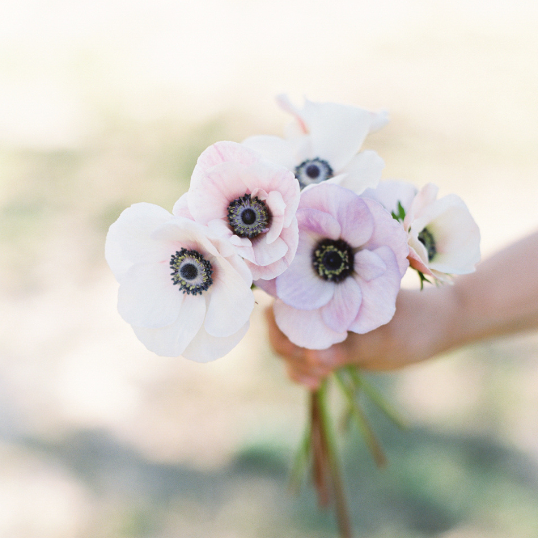 Girls Night #179: What to do if Someone you Love is Having Suicidal Thoughts — and How to Heal After Losing Someone.