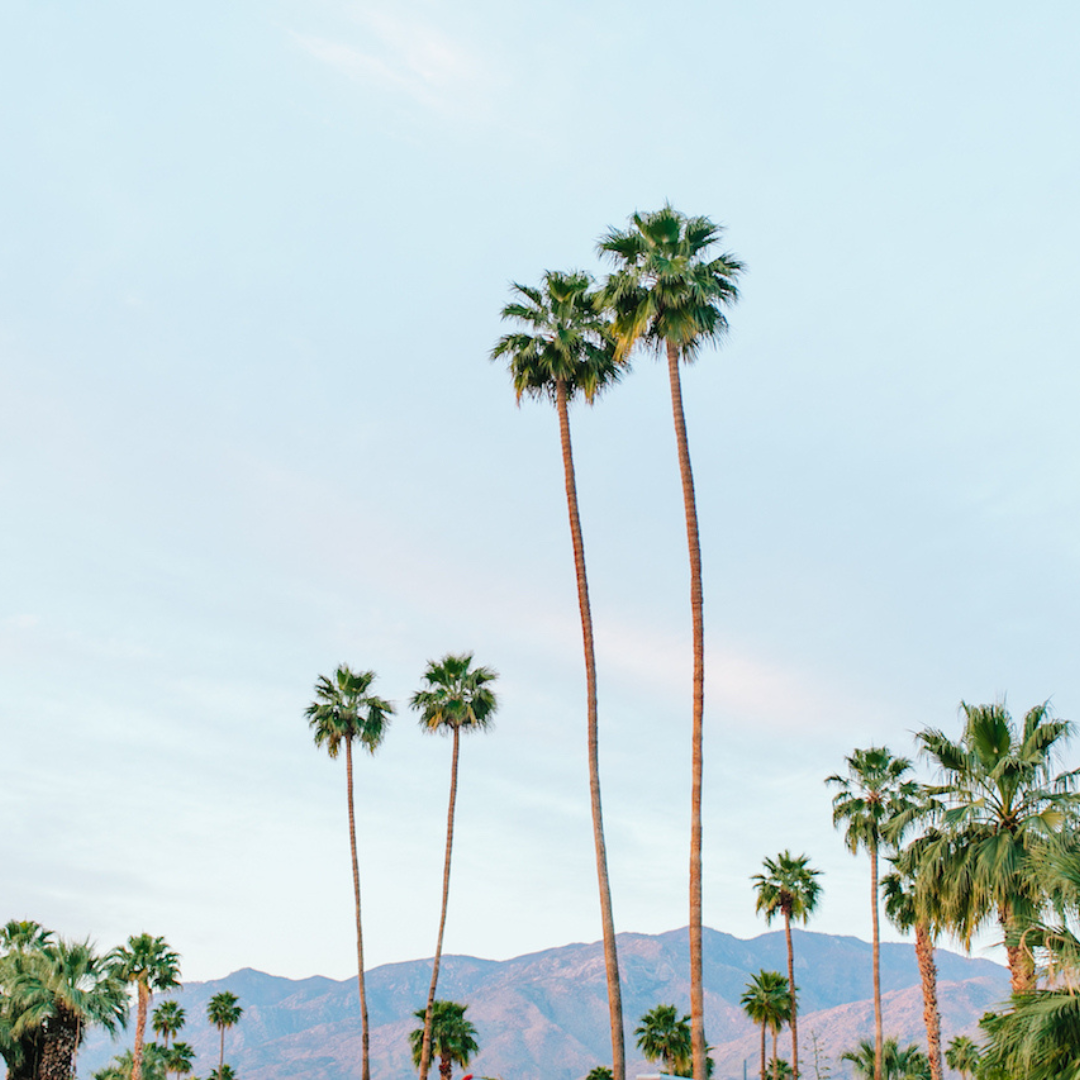 Featured Episode: How to Make a Girls Trip Actually Happen This Year