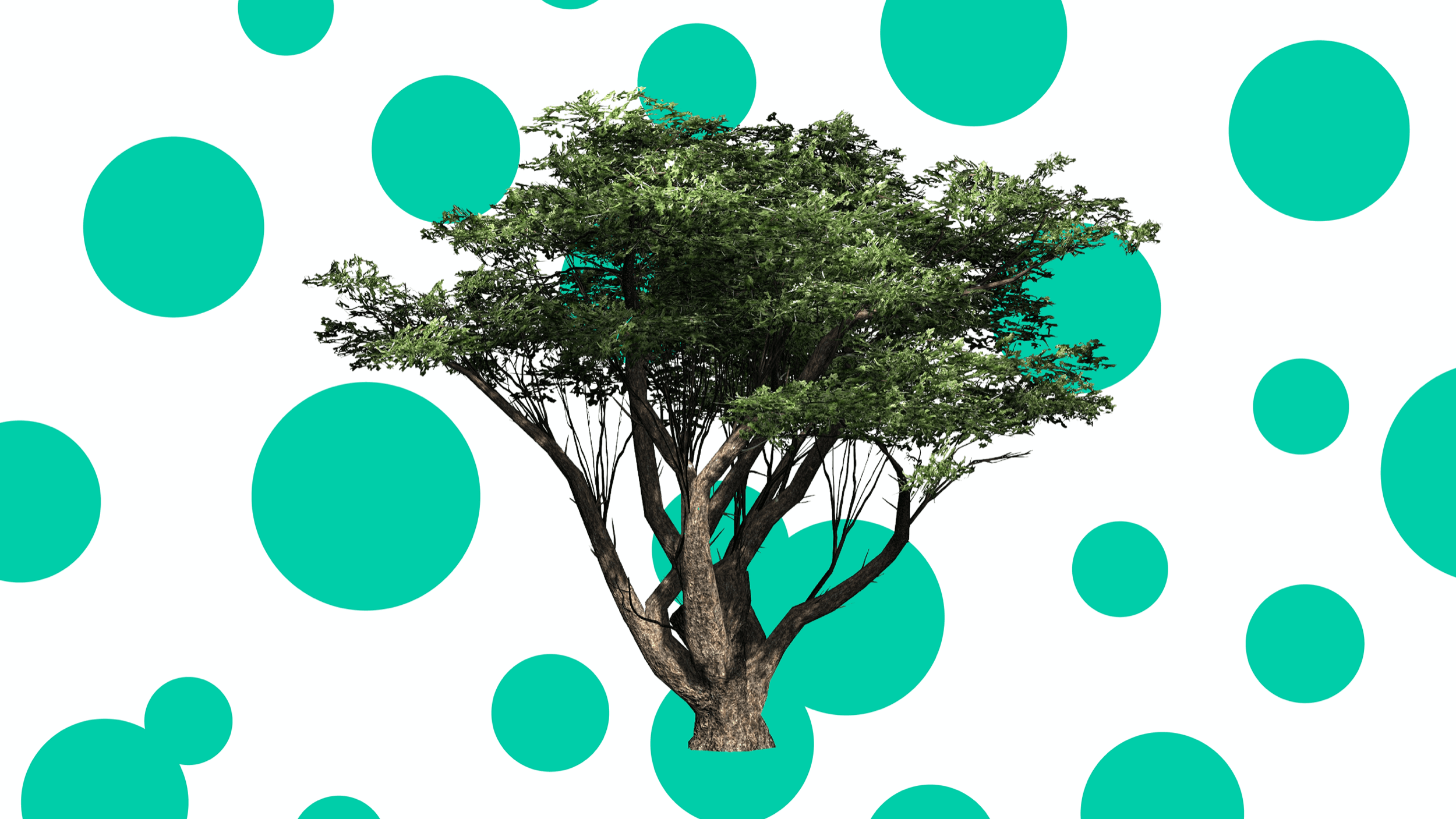 How many trees could you plant in 12 hours?