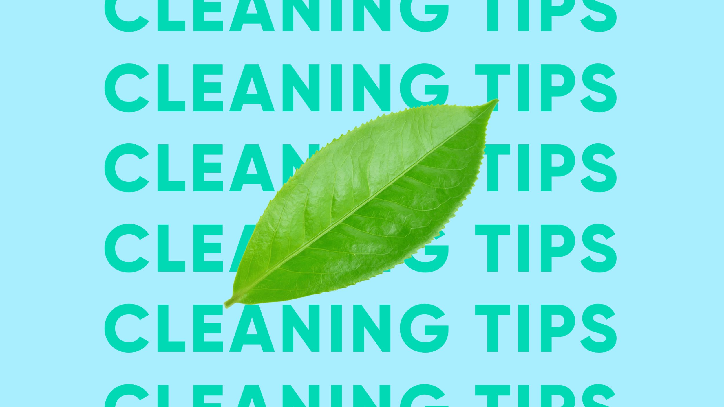 Fail proof recipes for natural cleaning products