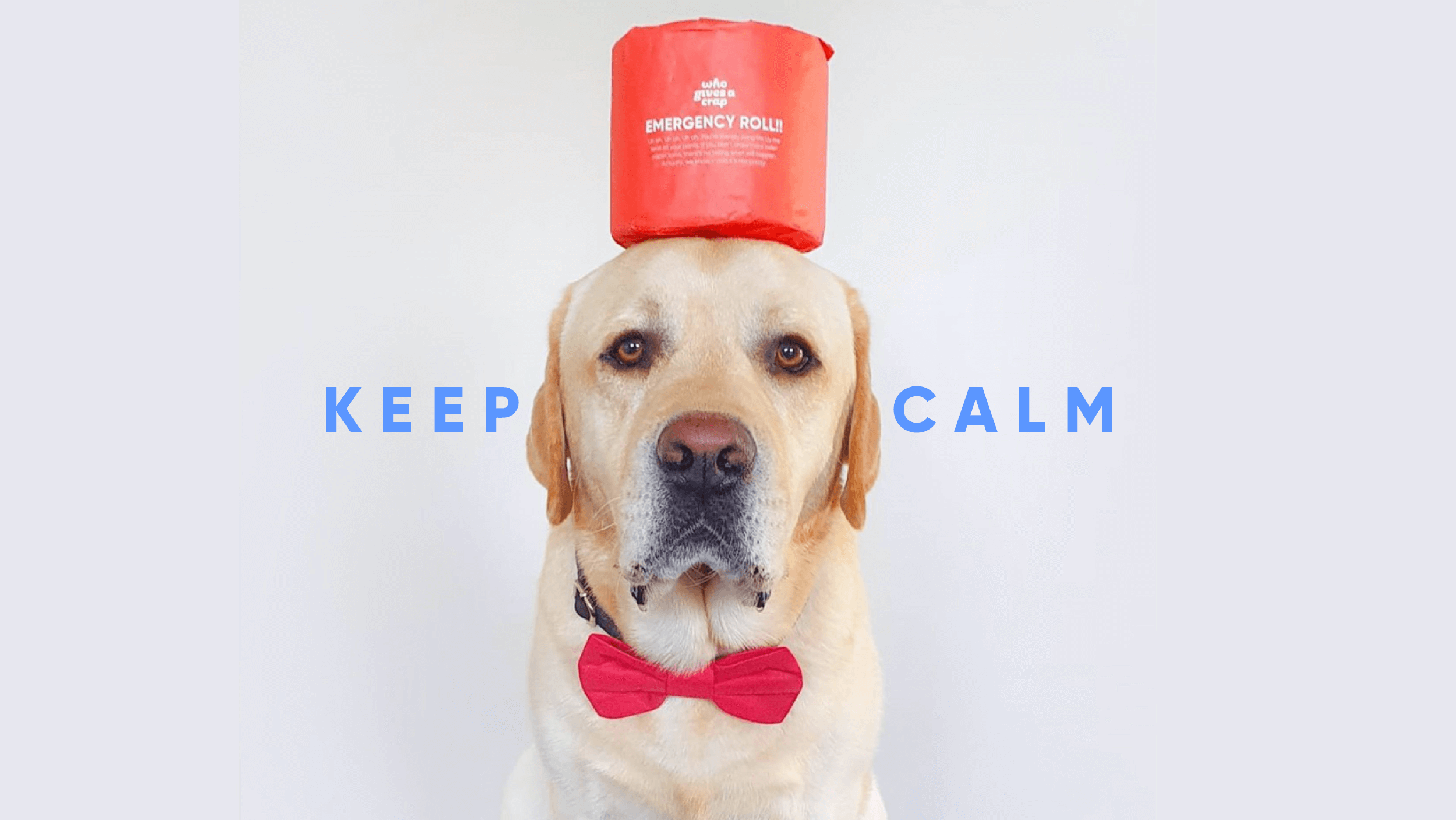 Testing the internet’s best tips for reducing anxiety 