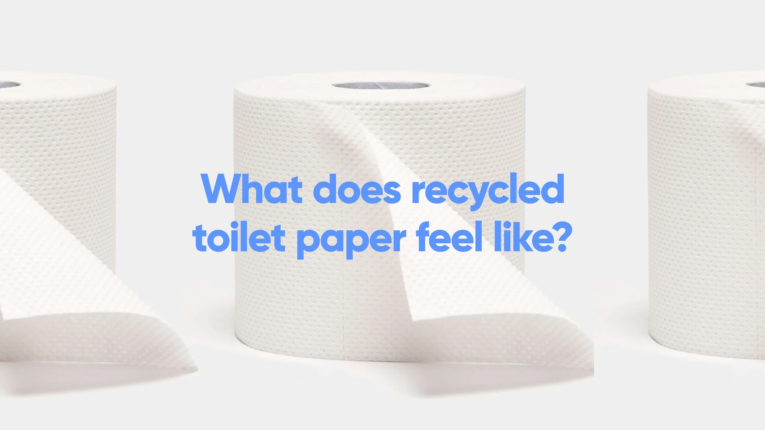 What does recycled toilet paper really feel like?
