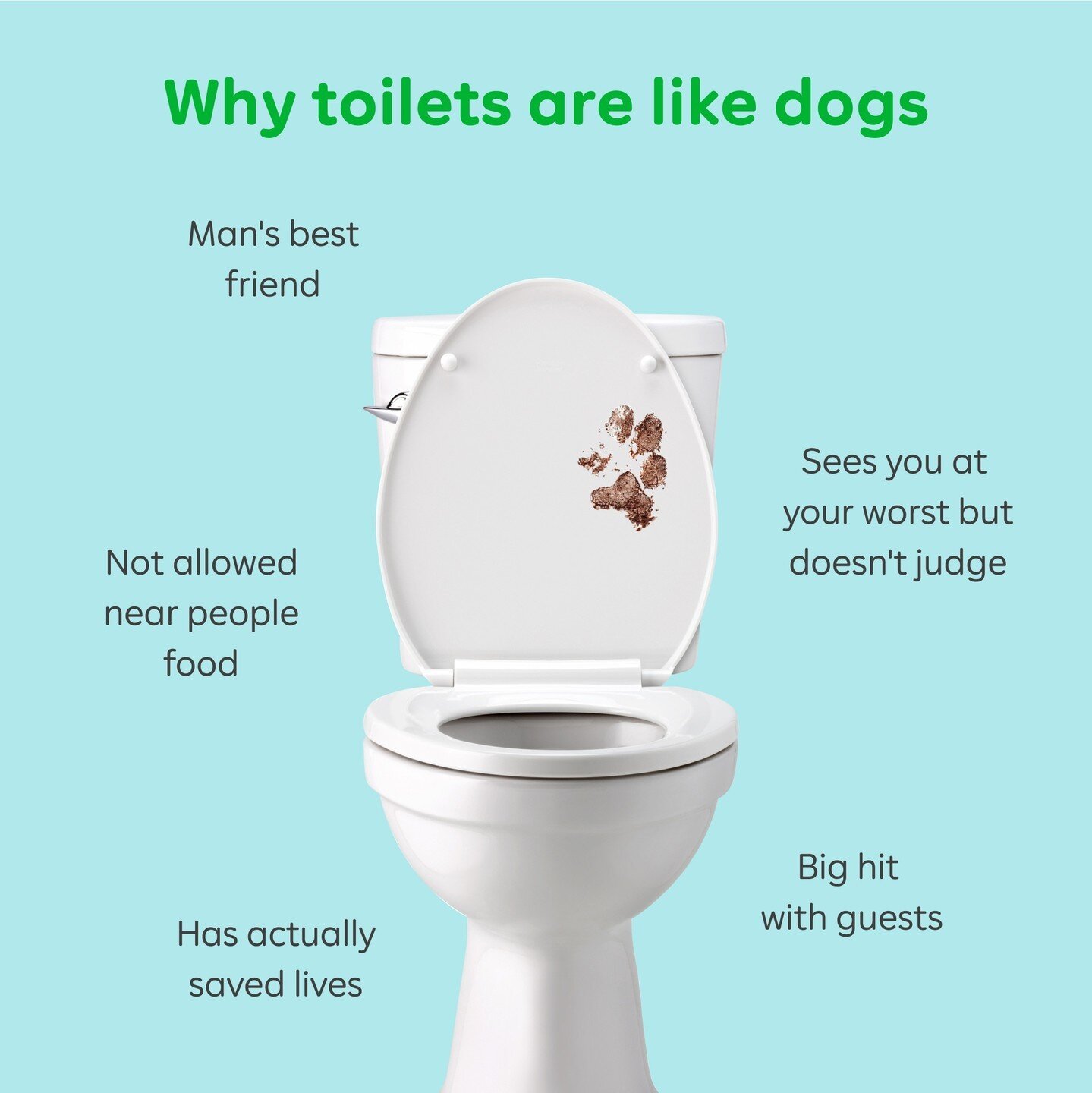 A visual history of tacky toilet seat covers — Talking Crap