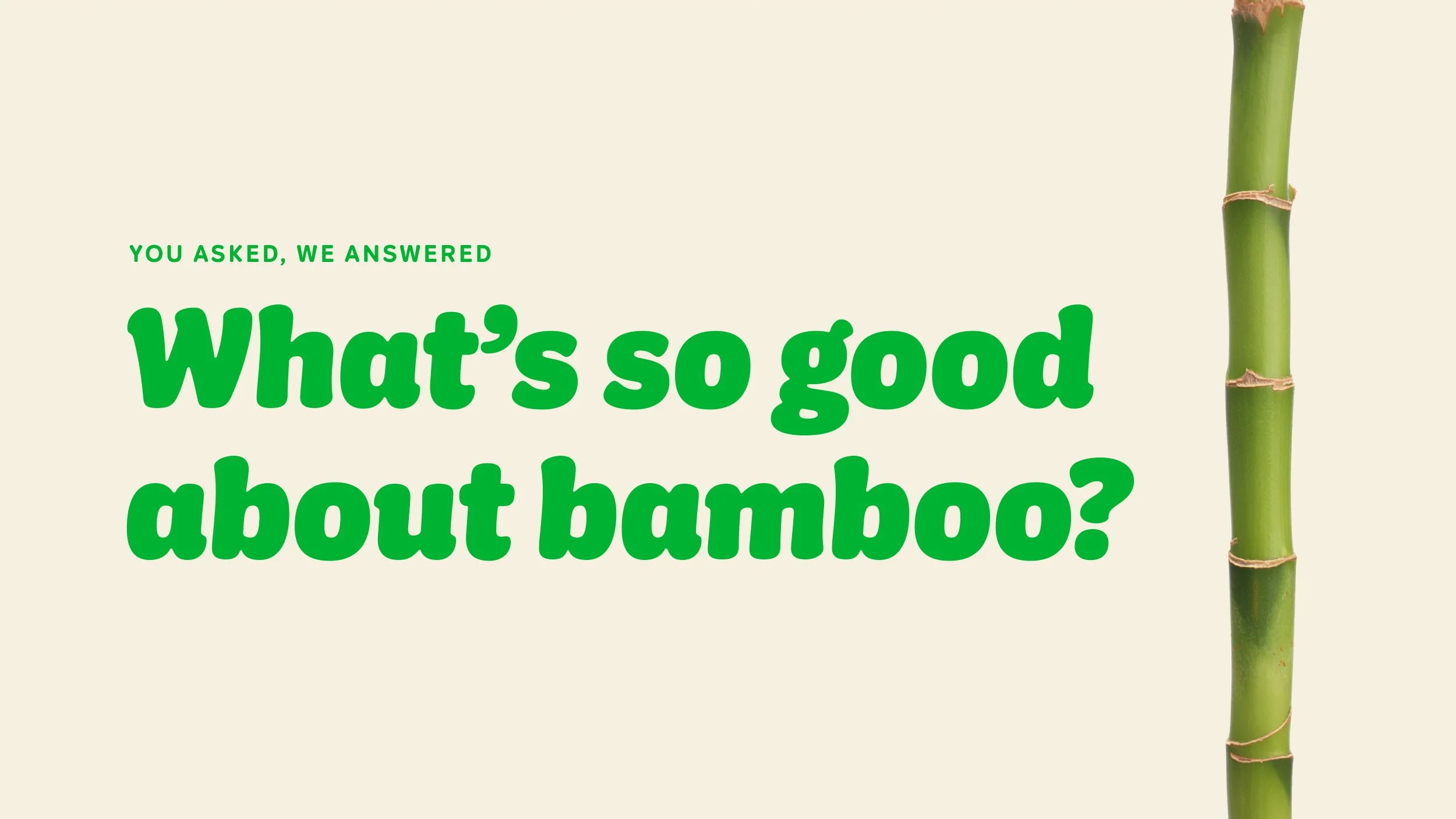 Your bamboo FAQs, answered