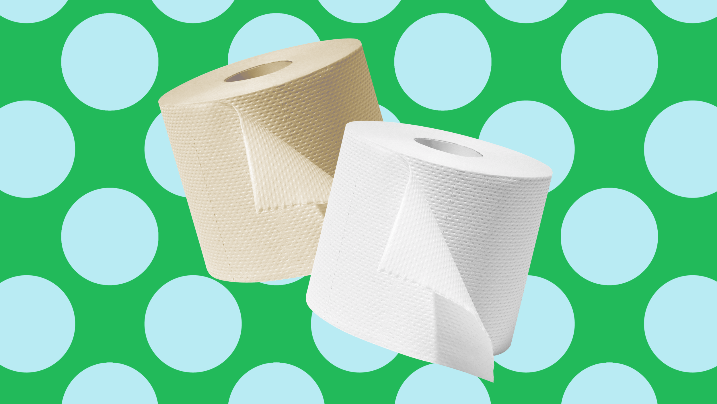 What’s the Difference Between Unbleached and Bleached Toilet Paper?