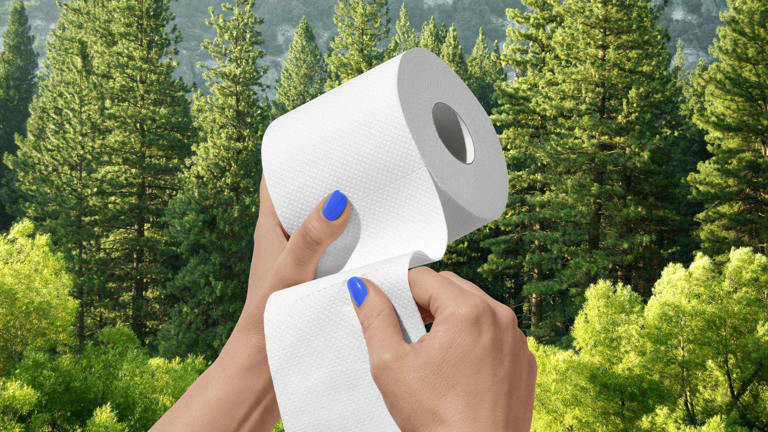 14 Incredible Environmental Toilet Paper Statistics