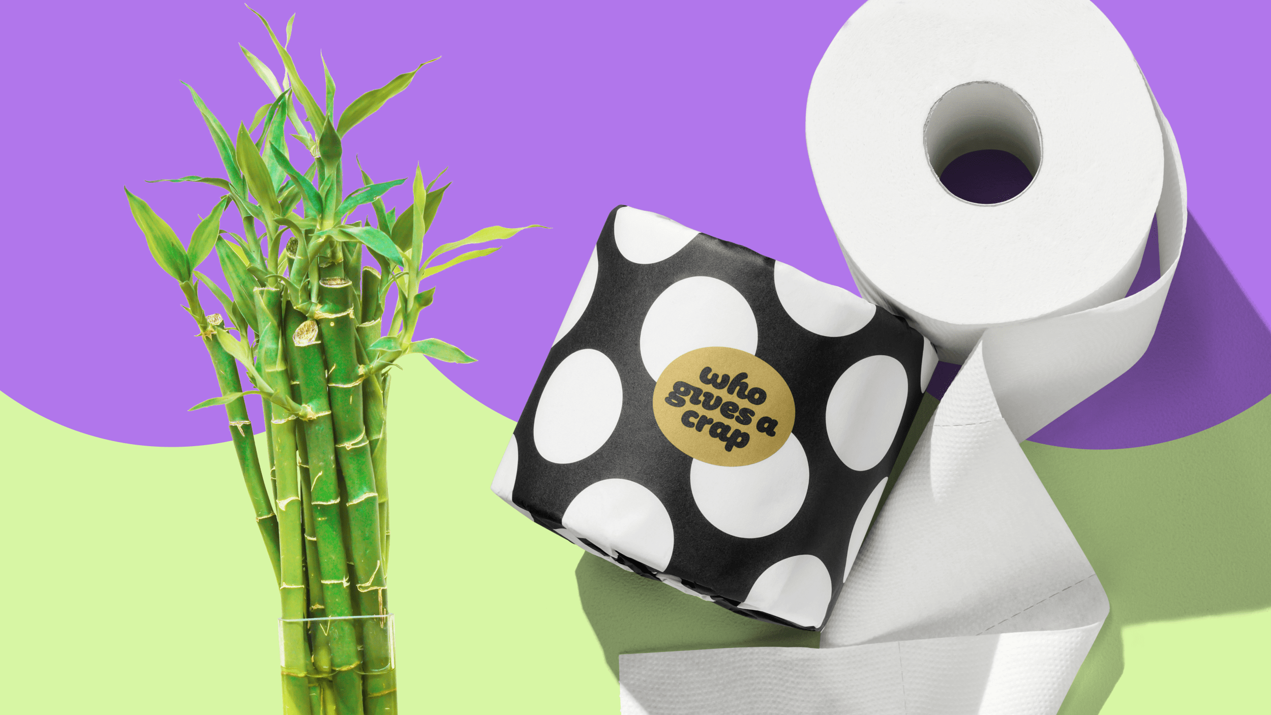 10 Best Bamboo Toilet Paper Brands for Your Bum