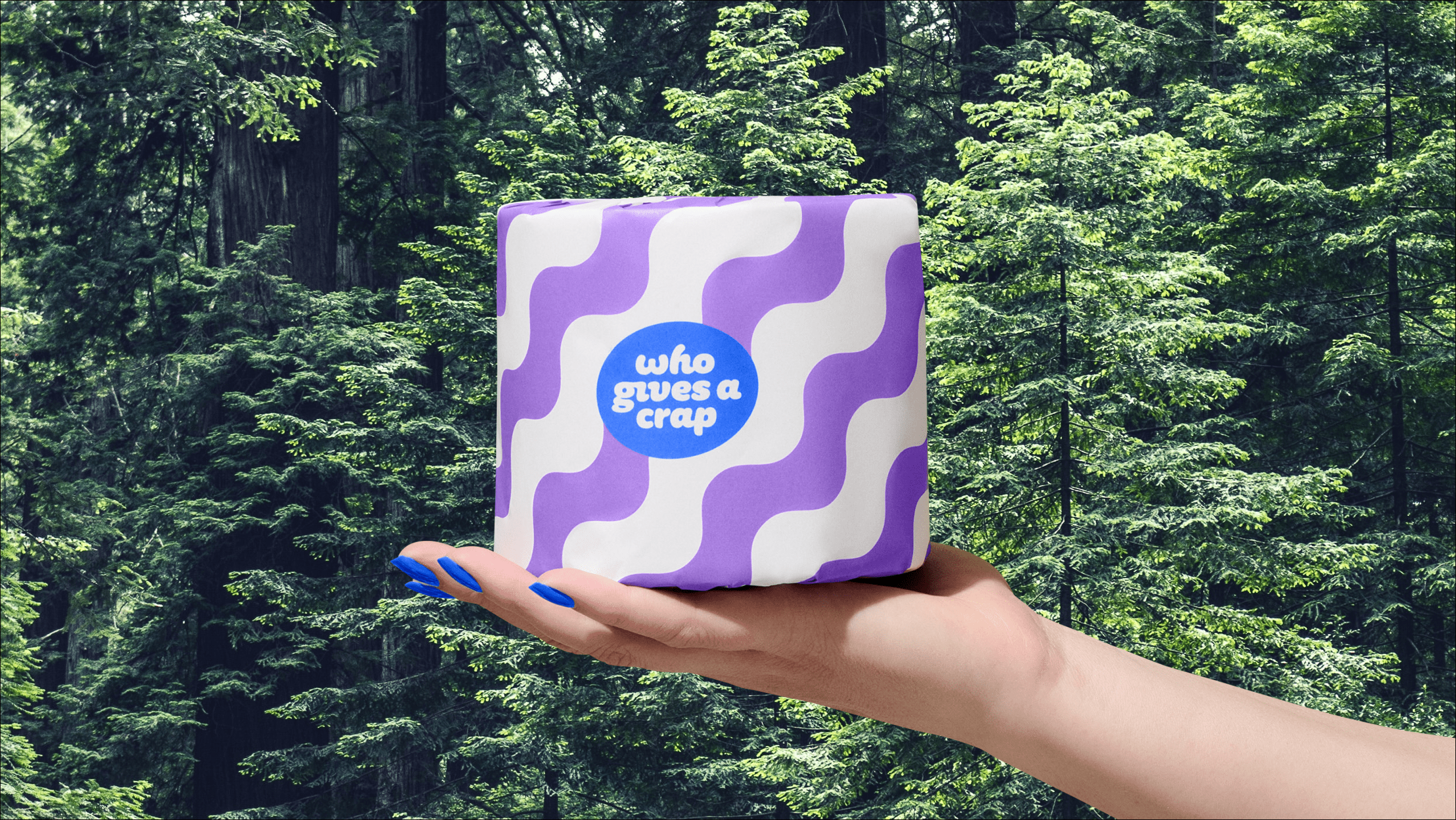 10 Best Brands for Environmentally Friendly Toilet Paper
