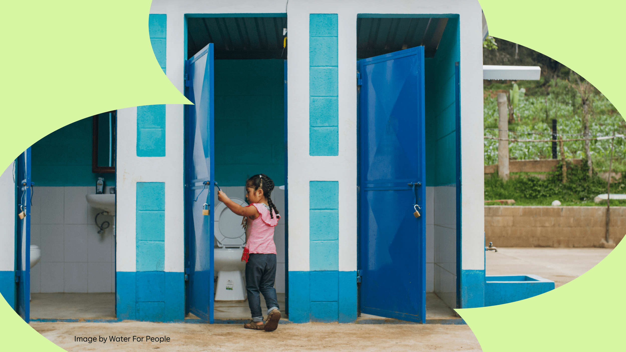 What's the Impact of a Toilet Paper Company Donating 50% of Profits to Charity?