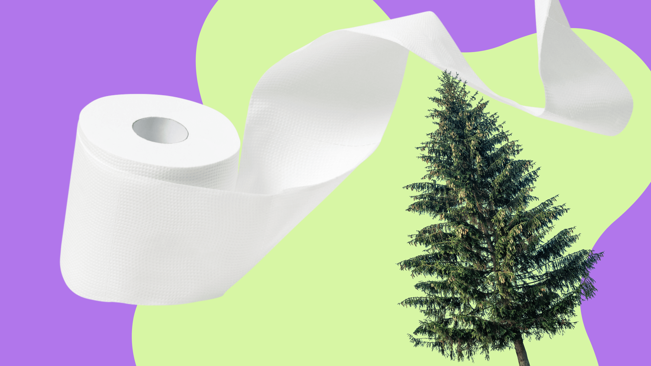 How Many Trees Does it Take to Make Toilet Paper?