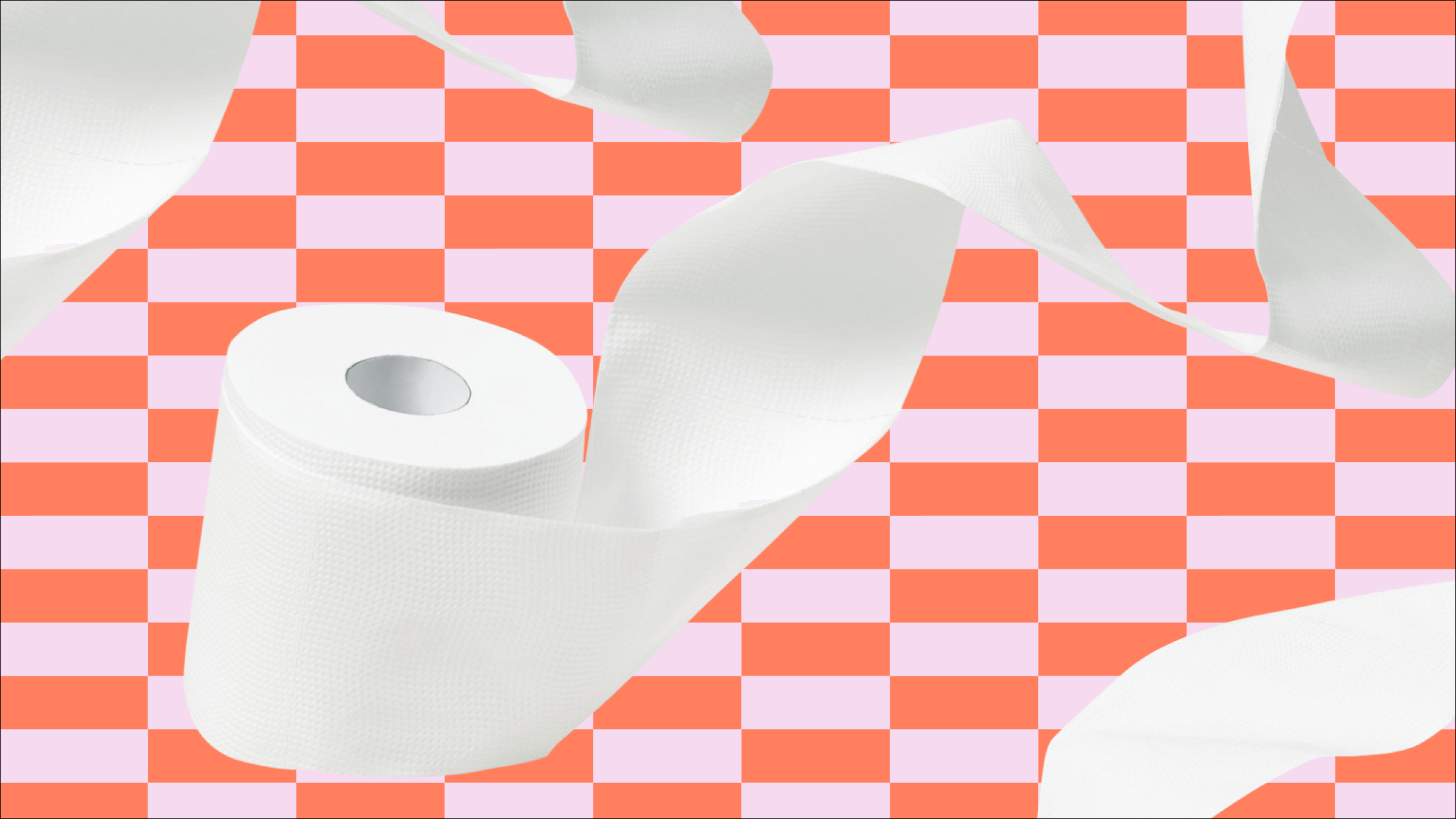 Plant Paper vs Hello Tushy: How Does Their TP Compare?