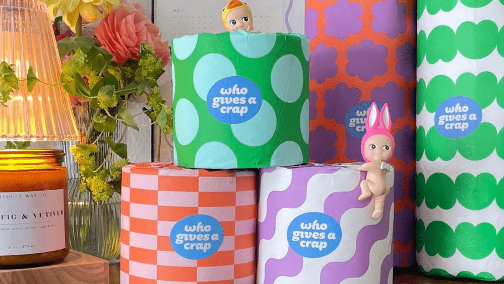 Sustainable Paper Towels and Toilet Paper: Meet the Dream Team
