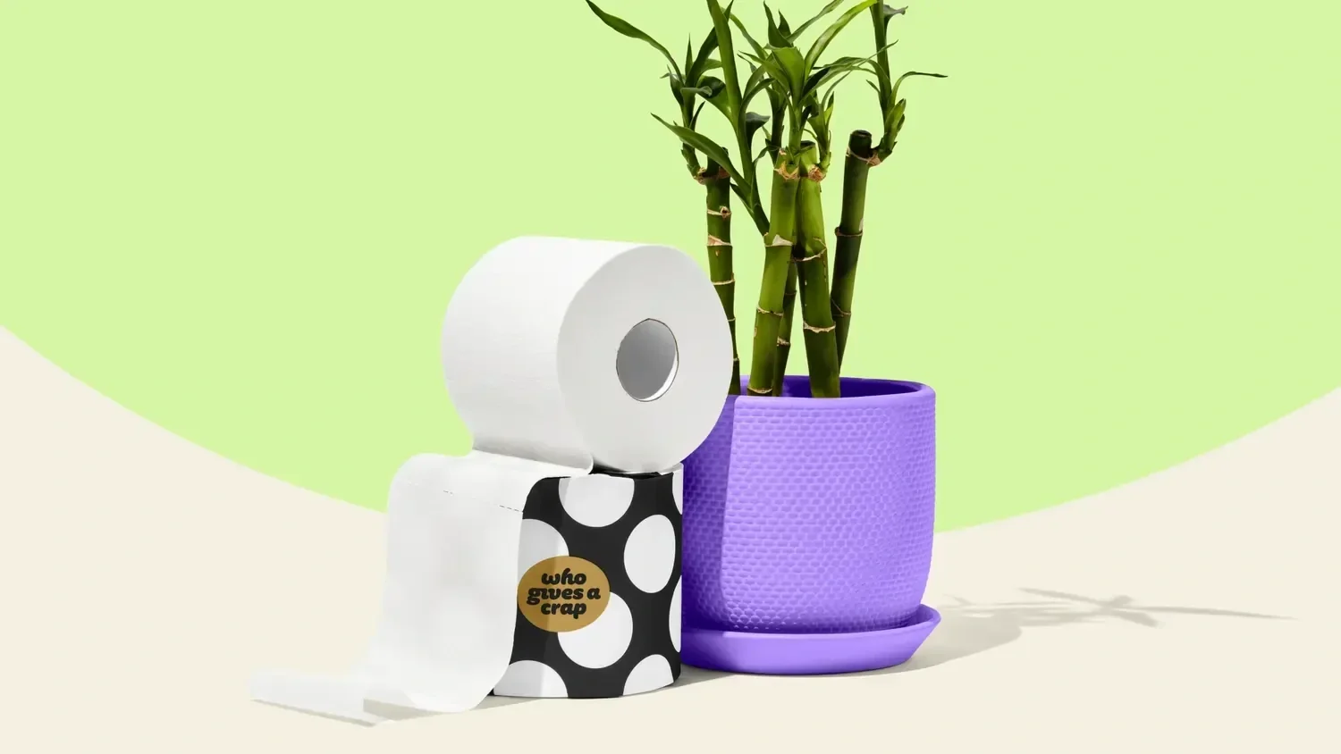 From Forest to Front Door: The Transparent Journey of Our Bamboo