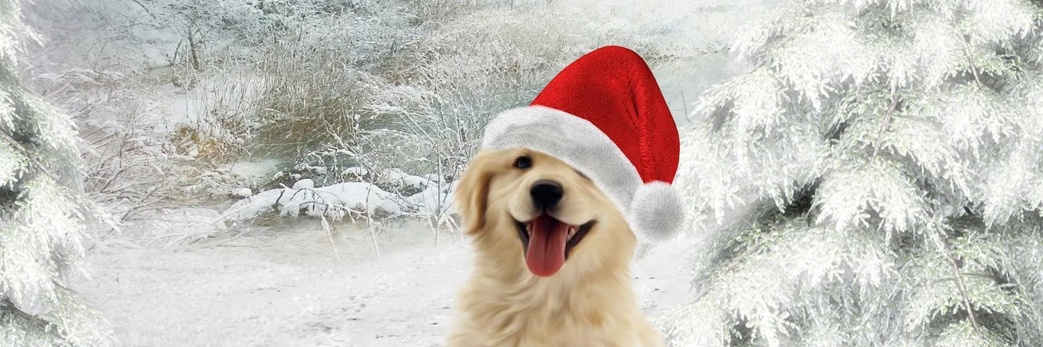 golden retriever banner_63864802 (2).jpg