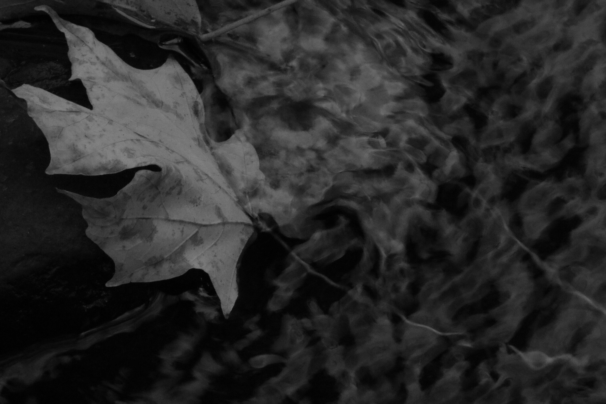Drifting 4 (The Fall)