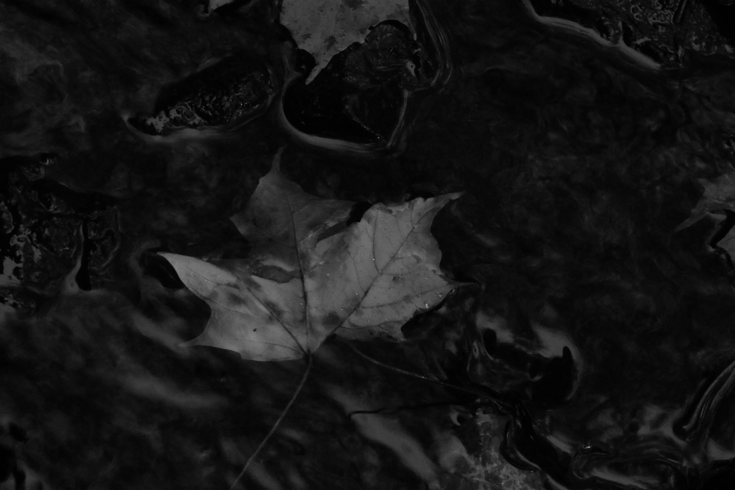 Drifting 1 (The Fall)