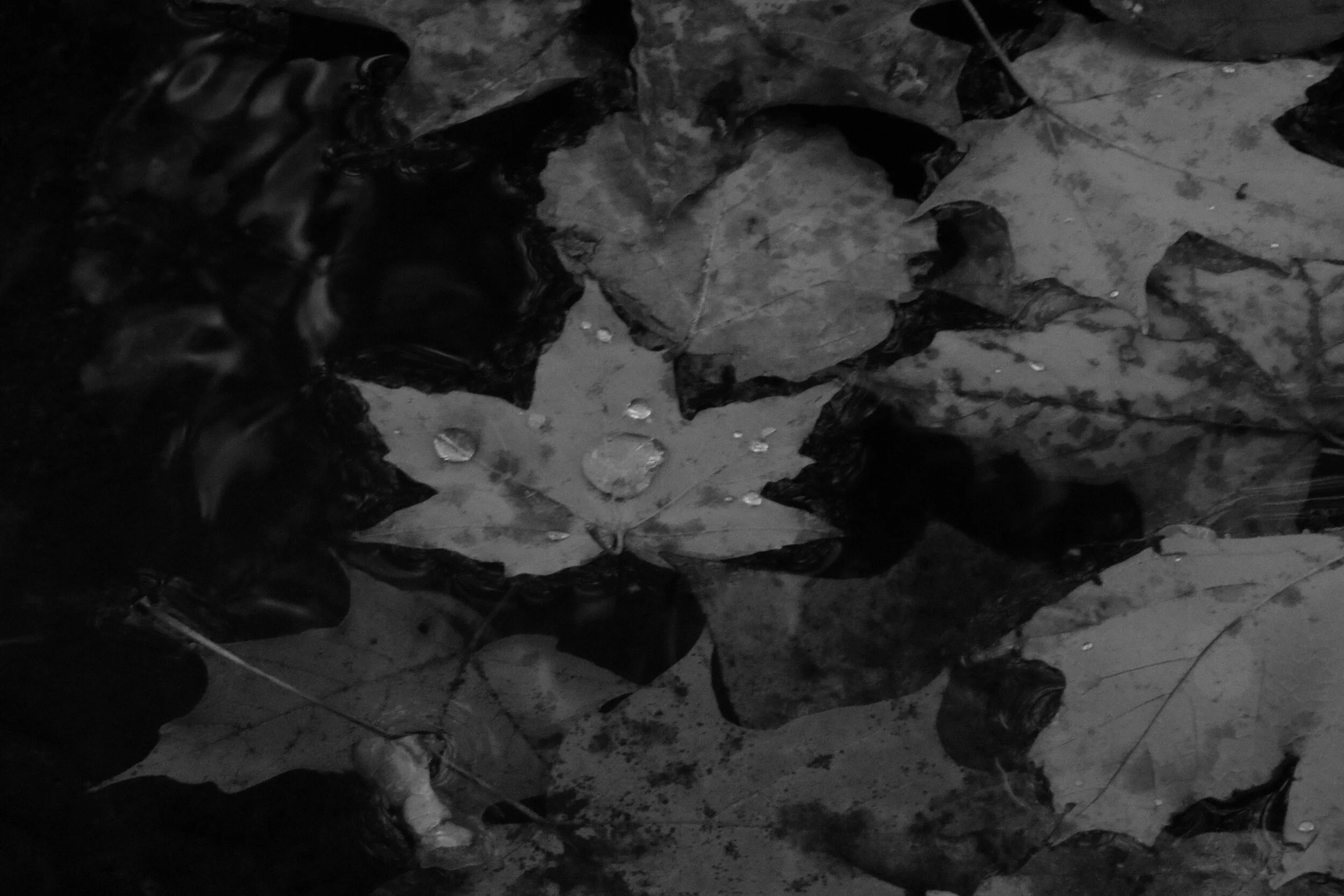 Drifting 2 (The Fall)