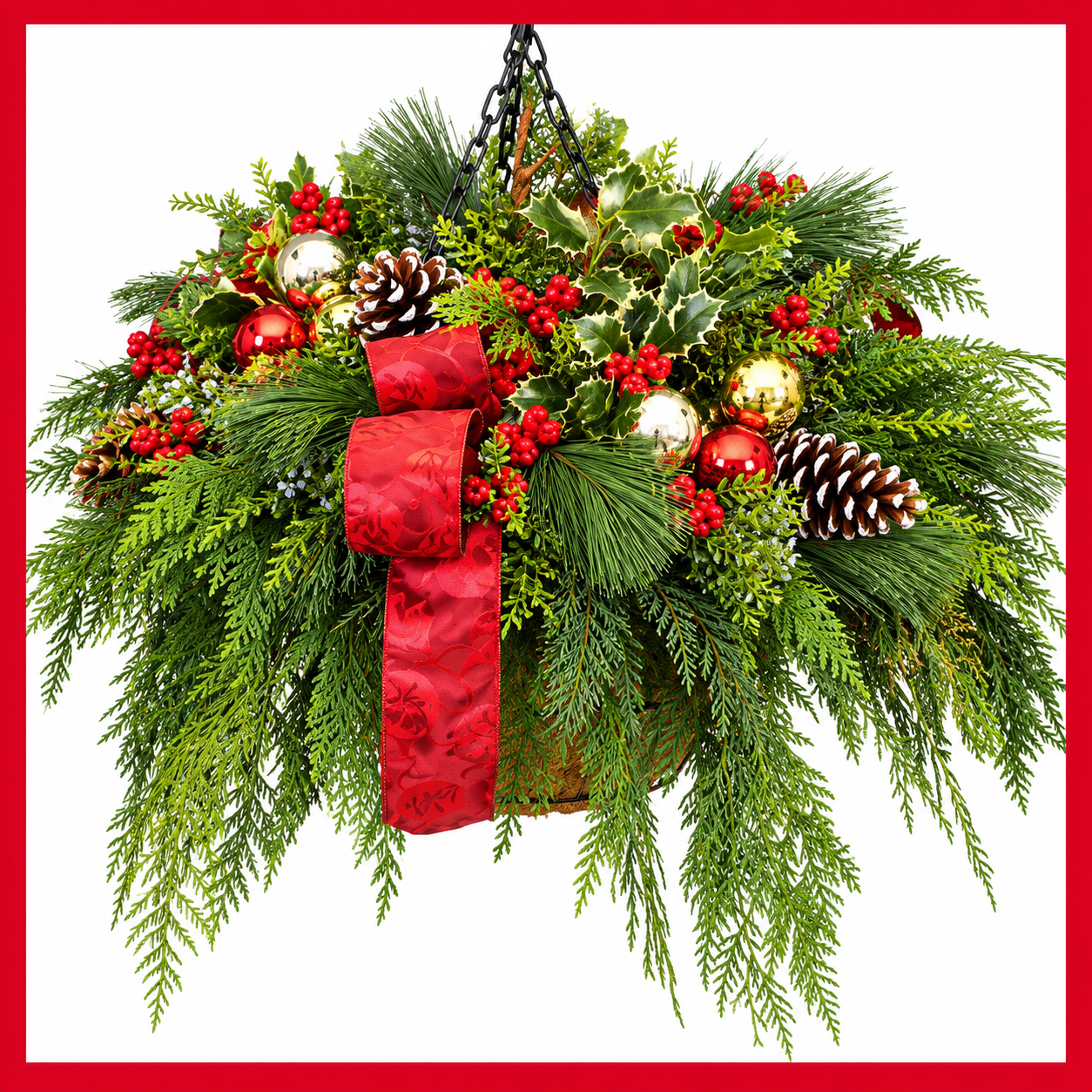 Hanging Basket