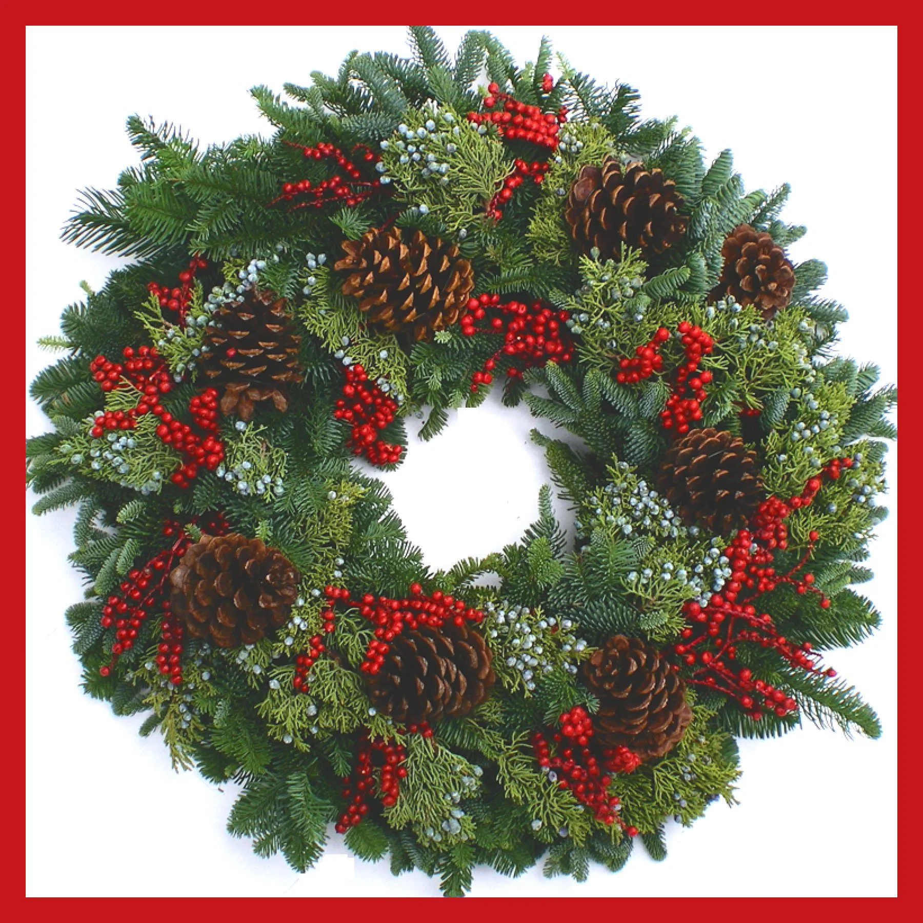 Canella Wreath