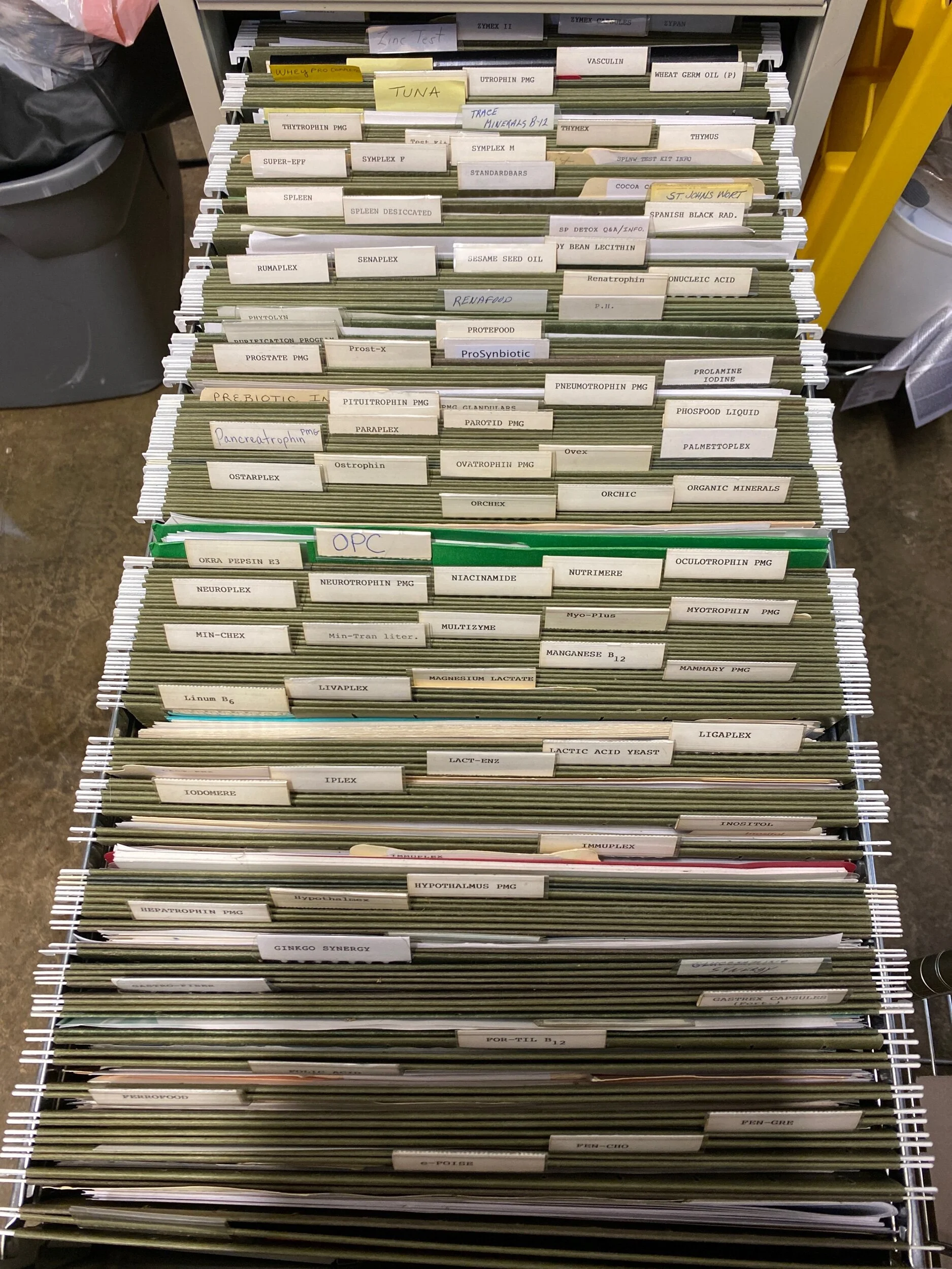 EE190BAA-8AB6-40F7-BA76-BB402A071739