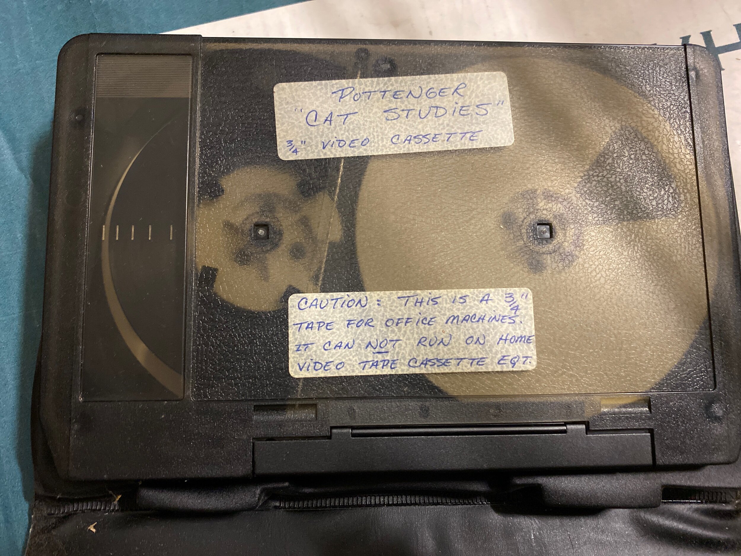 42E776F5-C1B1-4DAF-9818-F97CCEDAB324