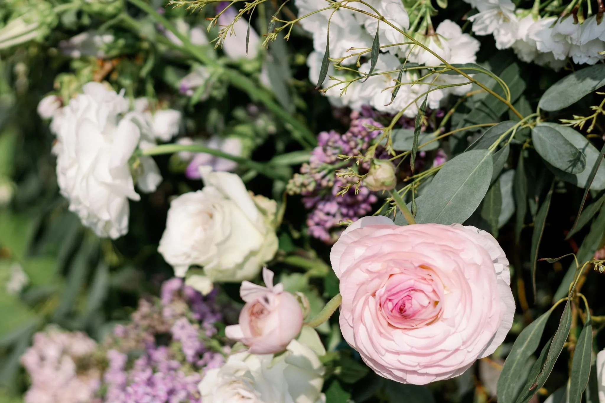 A variety of flowers including pink, white, and purple blooms surrounded by green leaves.