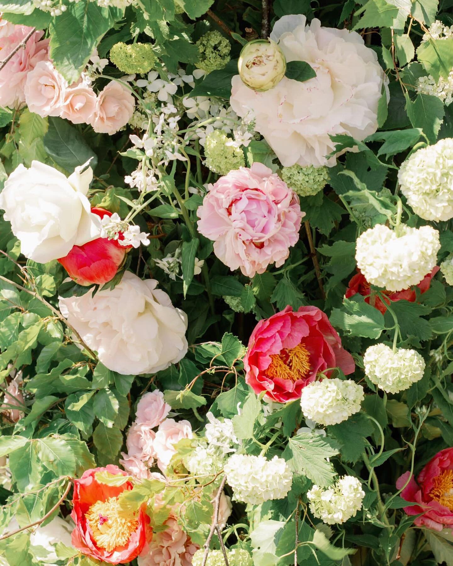 Whilst surrounded by this weeks wedding flowers and thinking back to the weekend, I can&rsquo;t help but feel so lucky that I get to design with natures most beautiful creations. Whilst the peonies are clearly the showstopper; they&rsquo;re supported