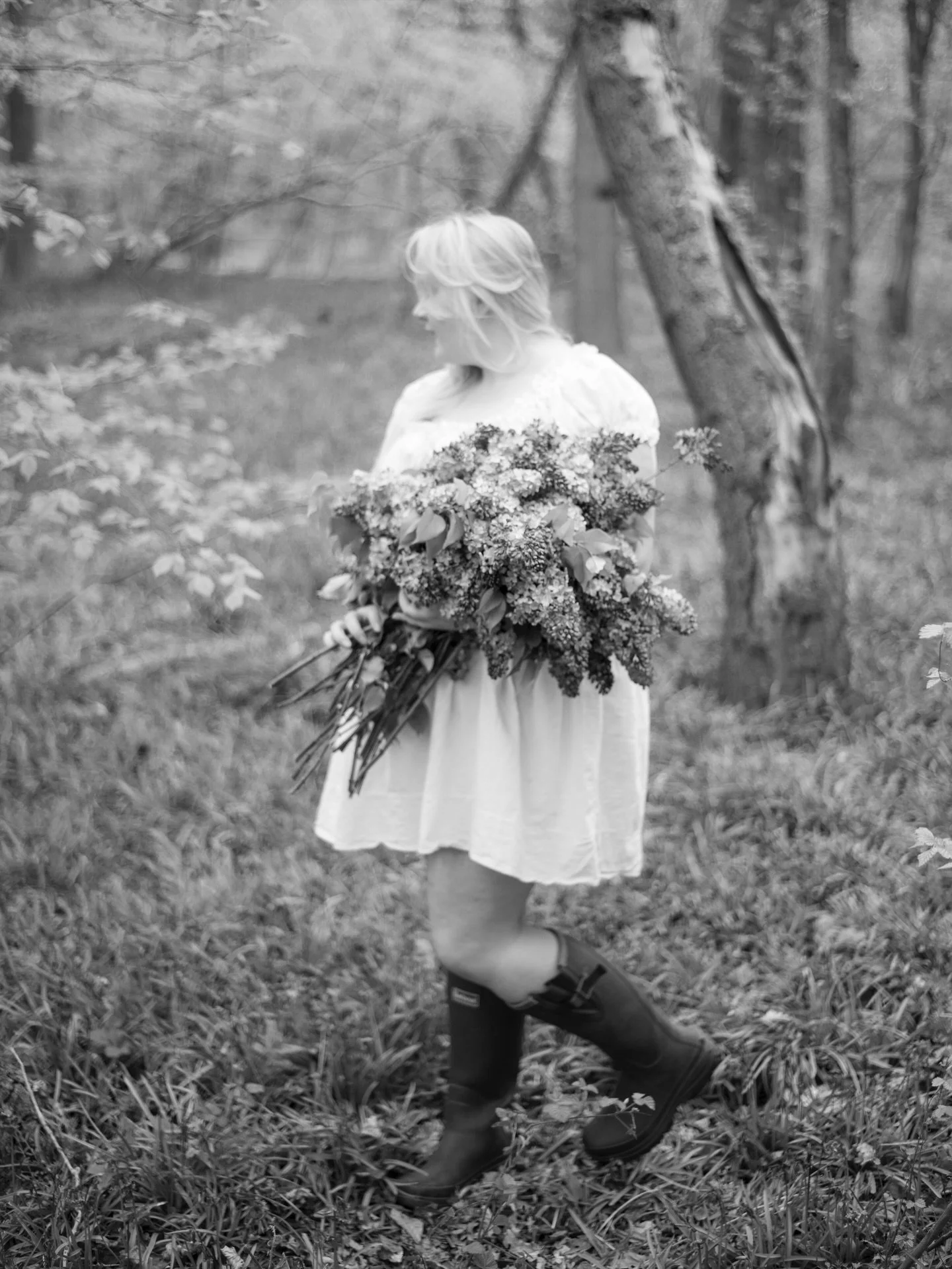 To those who may be new, here are a few of my favourite things. Snuggles with my cat Norbert , gardening with Finley, pansies, my workshop filled with flowers, flowery friends, my greenhouse and more flowery friends. Another one of my favourite thing