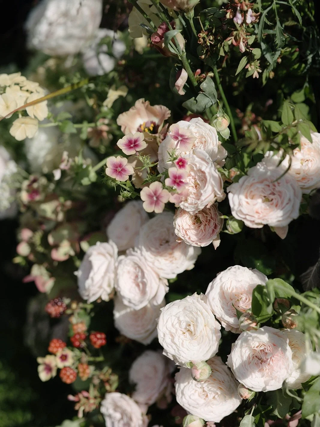 A collection of the most perfect close ups by @phoebepiperphoto 🌸  Venue @cornwell_manor 
Wedding Planner @attabara 
Photographer @phoebepiperphoto 
With @originalmarquees @letticeevents @houseoffurncollection @wedhead_london @maisonmargauxltd @pati